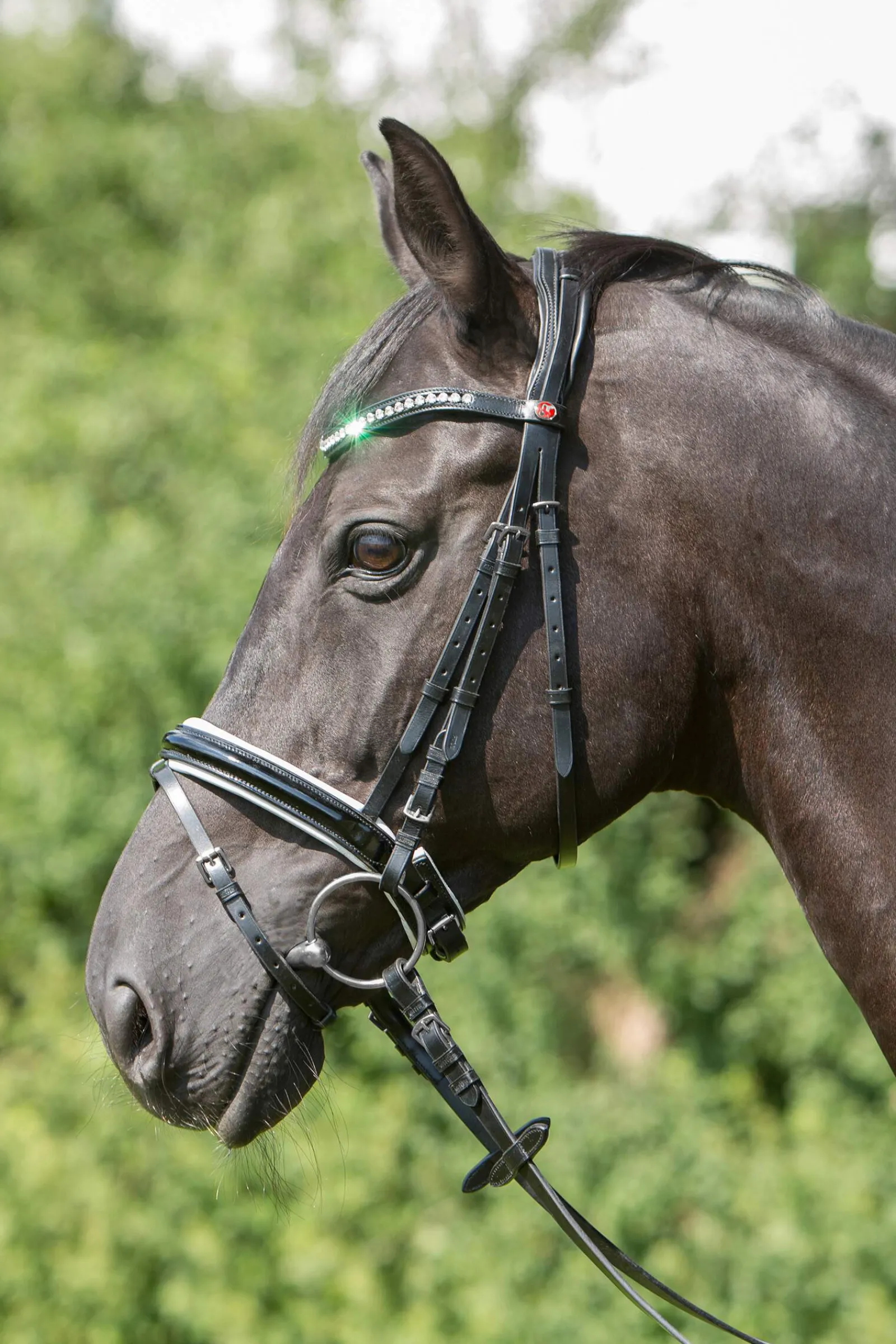 Sale Comfort Paris Bridle Pony Bridles & Halters|Bridles & Nosebands