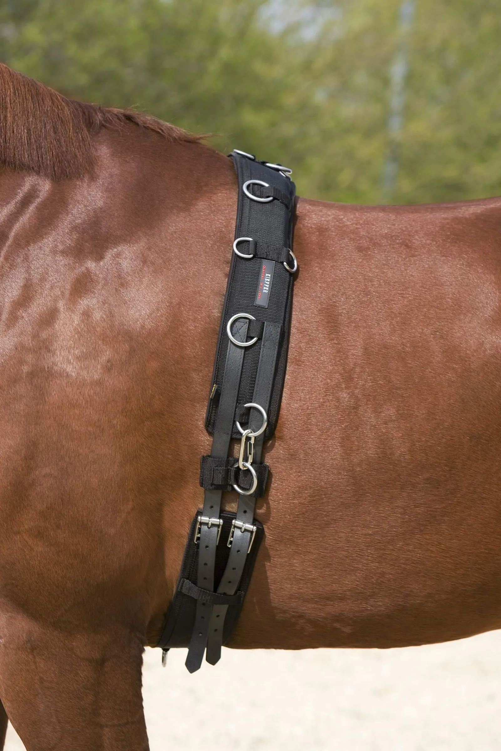 Hot Lunging Girth Lunge Lines & Lunging Ropes|Lunge Lines & Lunging Ropes