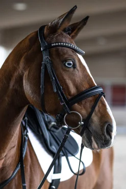 Clearance Snaffle Bridle Essentials Xia Pony Bridles & Halters|Bridles & Nosebands