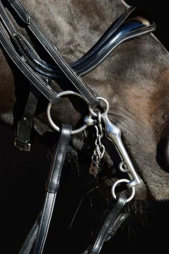 Hot Ultrasoft® Amy Double Bridle Bridles & Nosebands