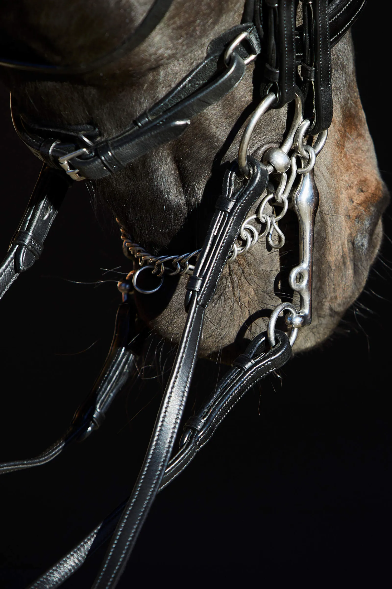 Hot Ultrasoft® Amy Double Bridle Bridles & Nosebands