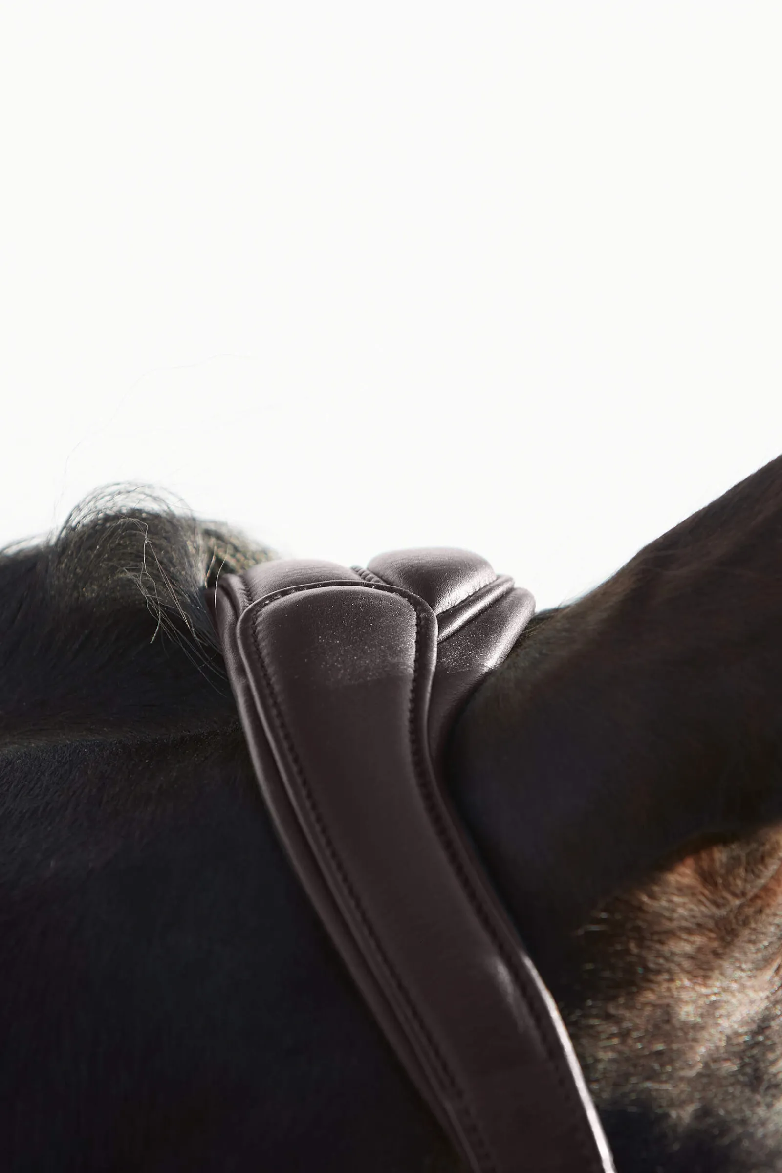 New Ultrasoft® Deluxe Leather Headcollar Headcollars & Halters