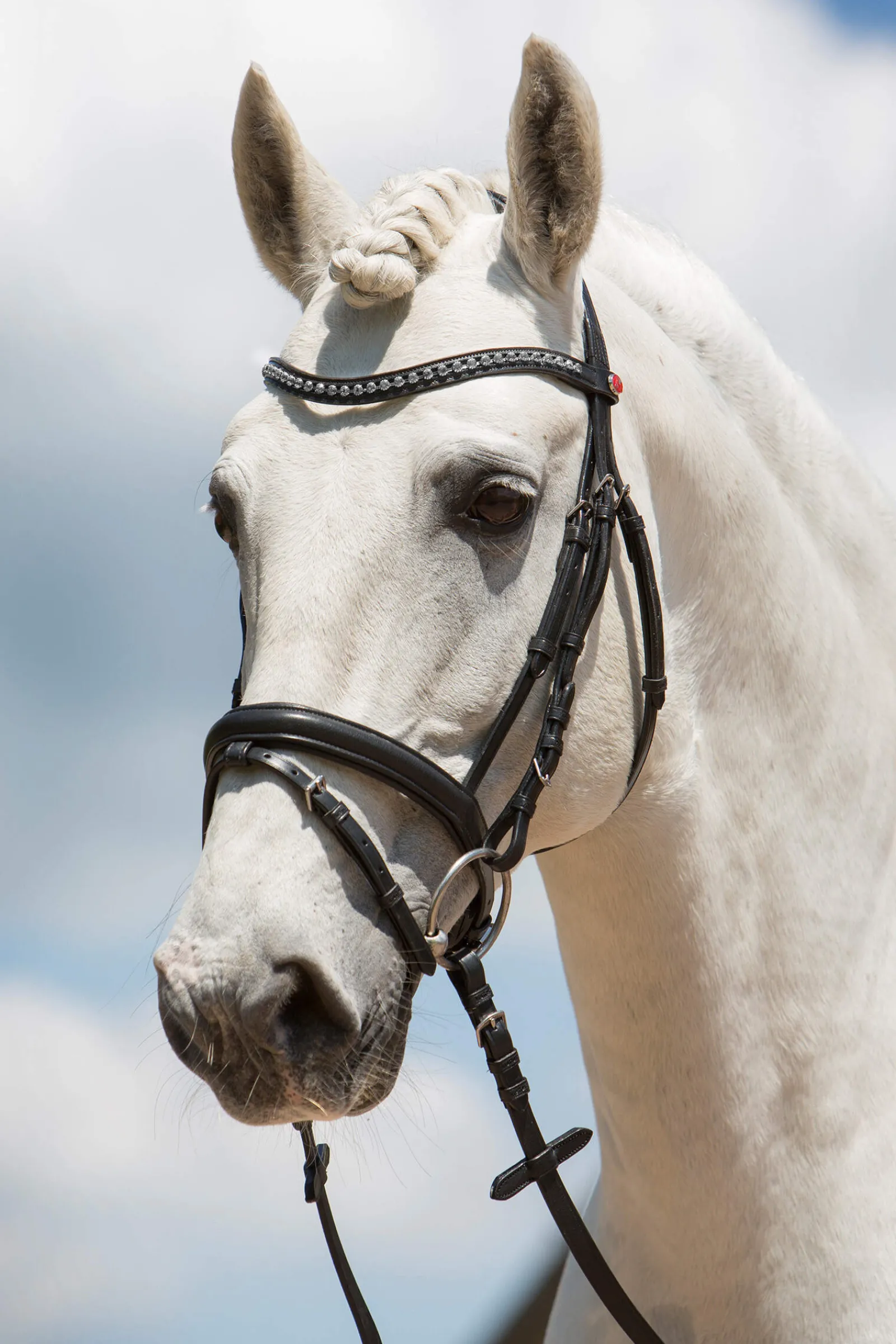 Online Ultrasoft® Fashion Bridle Pony Bridles & Halters|Bridles & Nosebands
