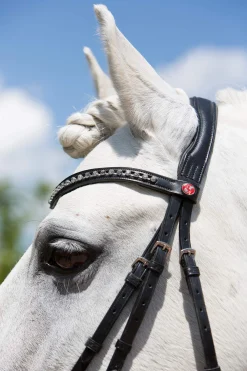 Online Ultrasoft® Fashion Bridle Pony Bridles & Halters|Bridles & Nosebands
