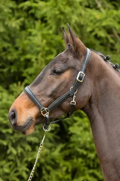 Outlet Ultrasoft® Leather Headcollar Headcollars & Halters