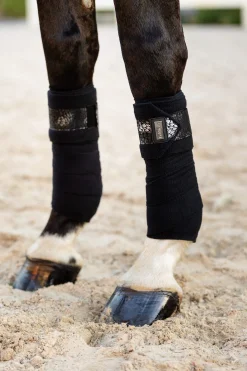 Sale Adour Bandages Horse Bandages