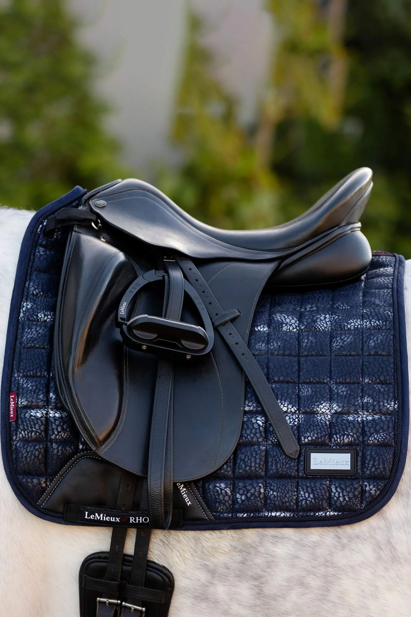Discount Adour Dressage Saddle Pad Square Dressage Saddle Pads