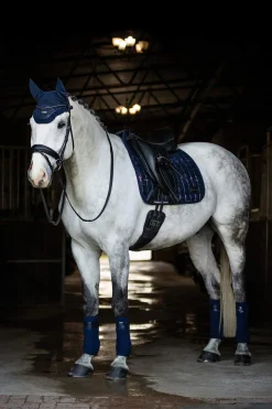 Discount Adour Dressage Saddle Pad Square Dressage Saddle Pads