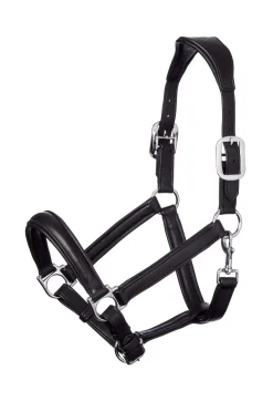 Discount Anatomic Leather Head Collar Leather Headcollars