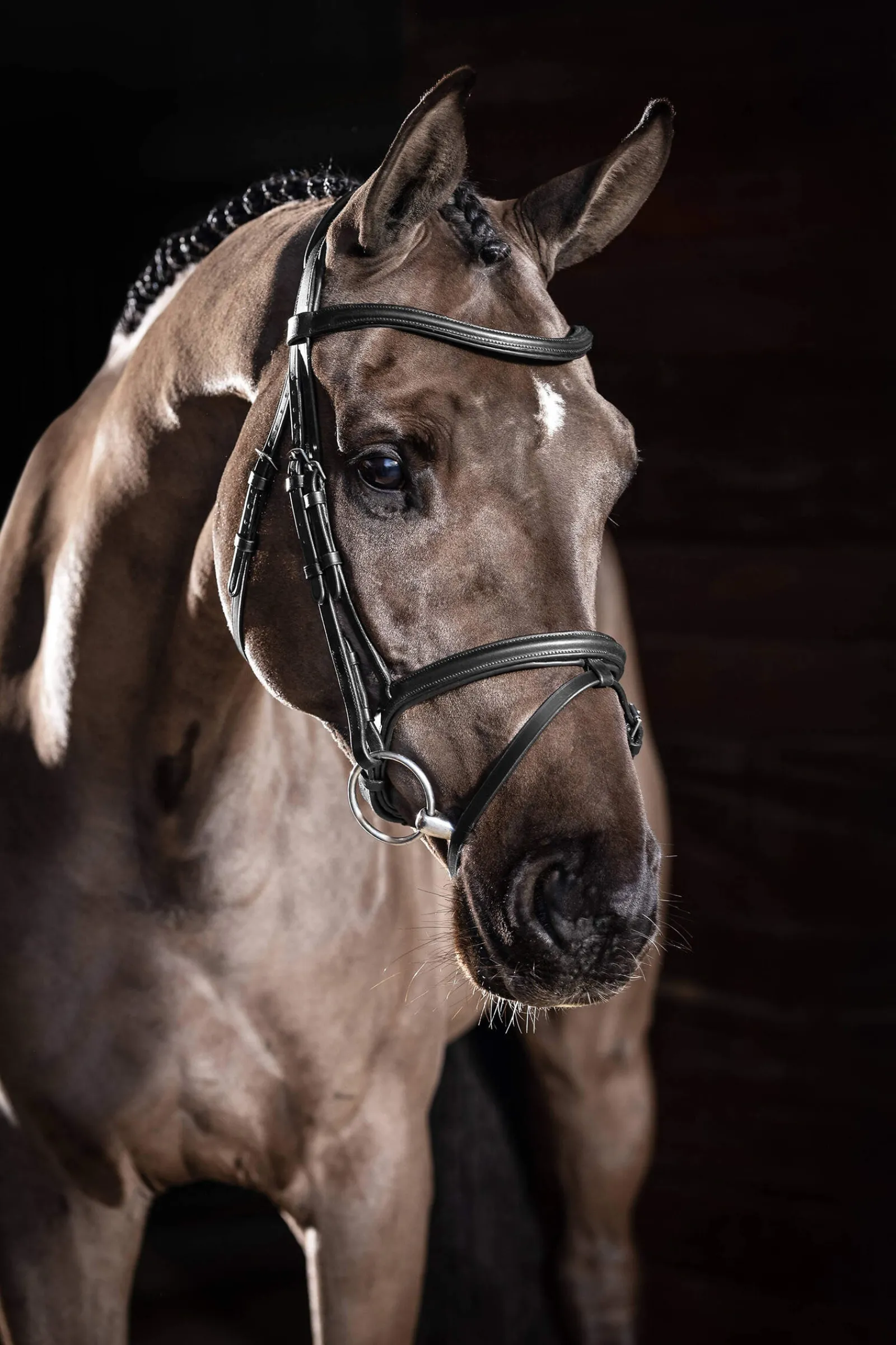 Sale Arika Flash Bridle Pony Bridles & Halters|Bridles & Nosebands