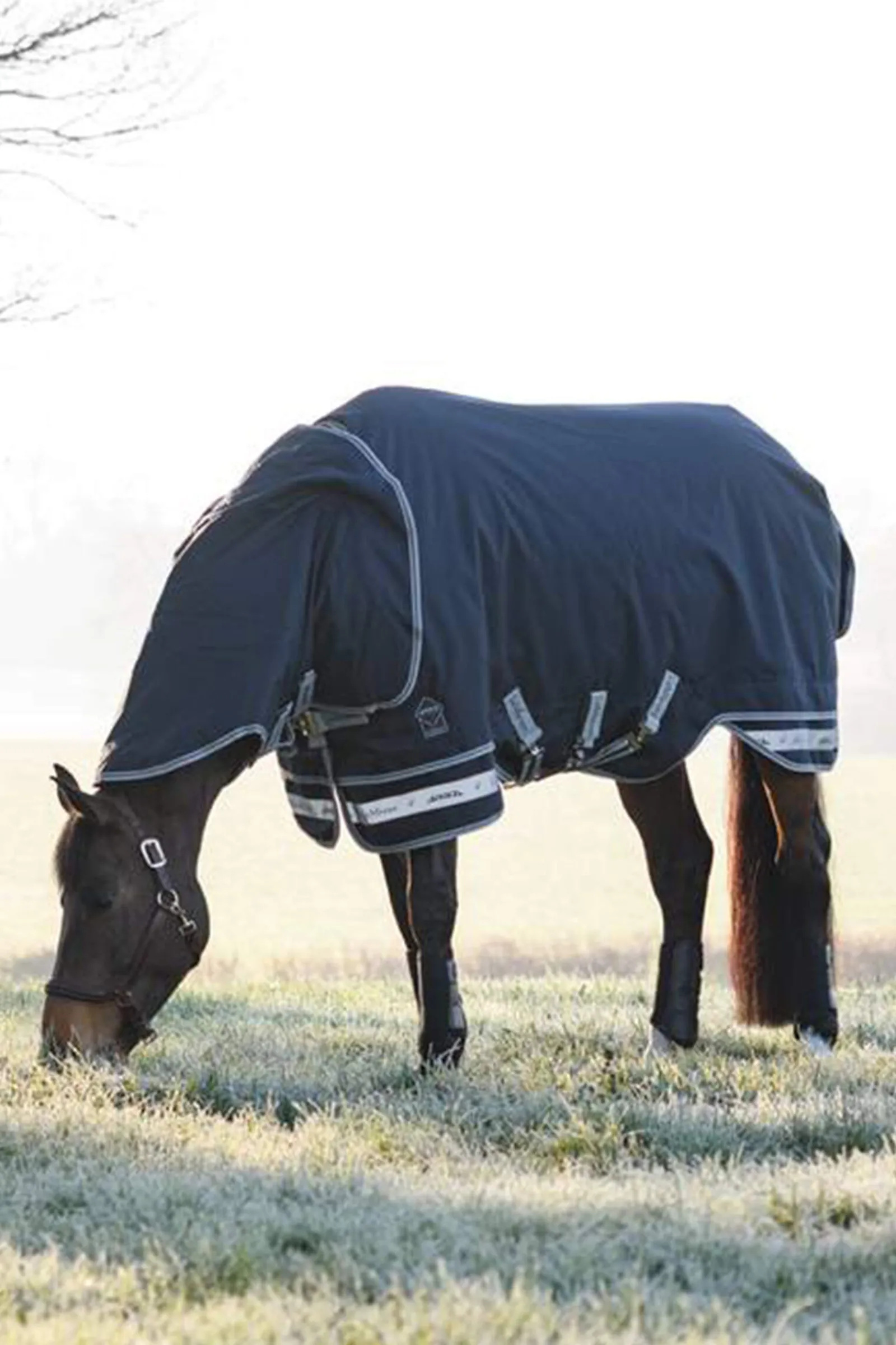 Online Arika Storm-Tek Lightweight Turnout Rug, 100g Lightweight Turnout Rugs