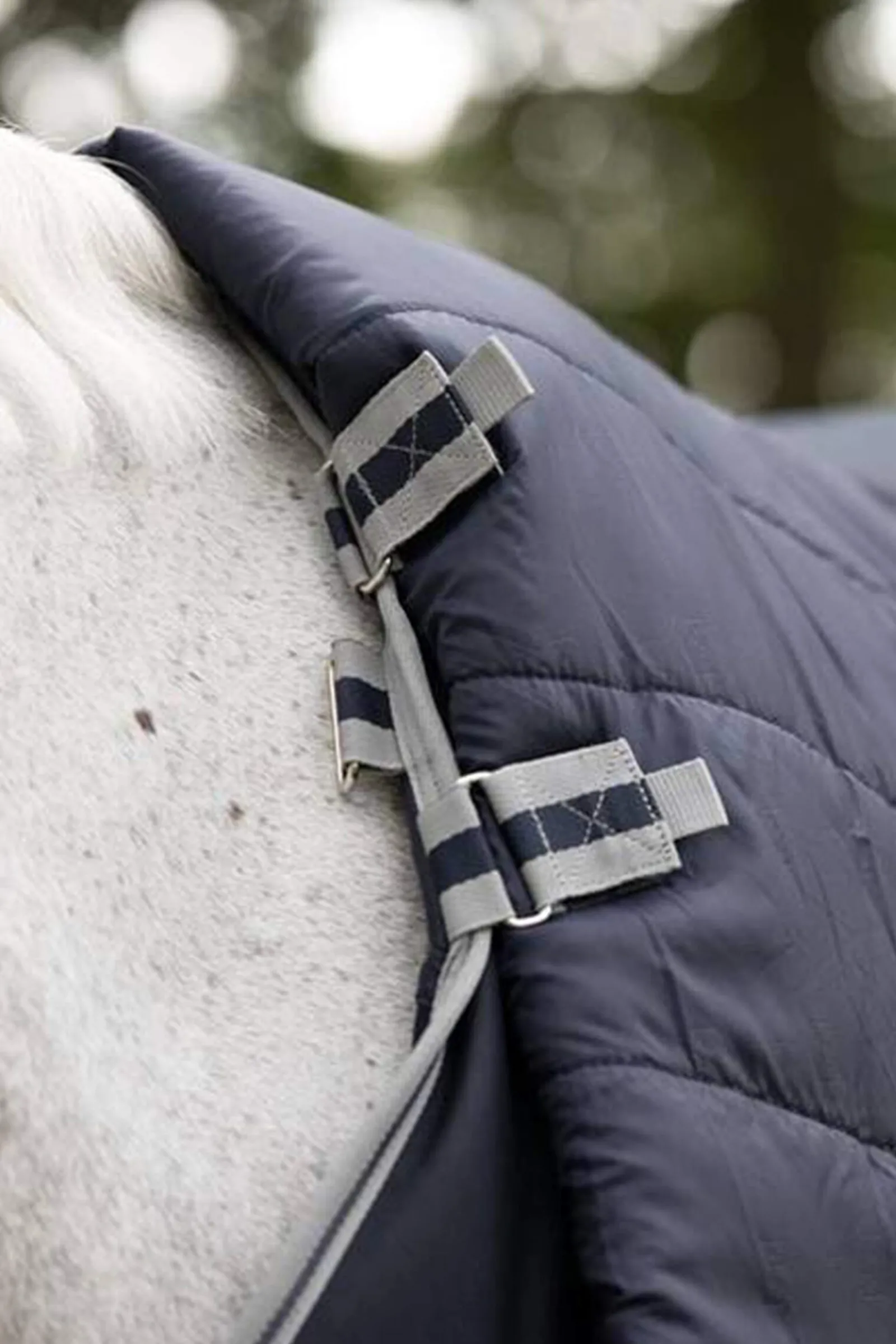 Online Arika Storm-Tek Lightweight Turnout Rug, 100g Lightweight Turnout Rugs