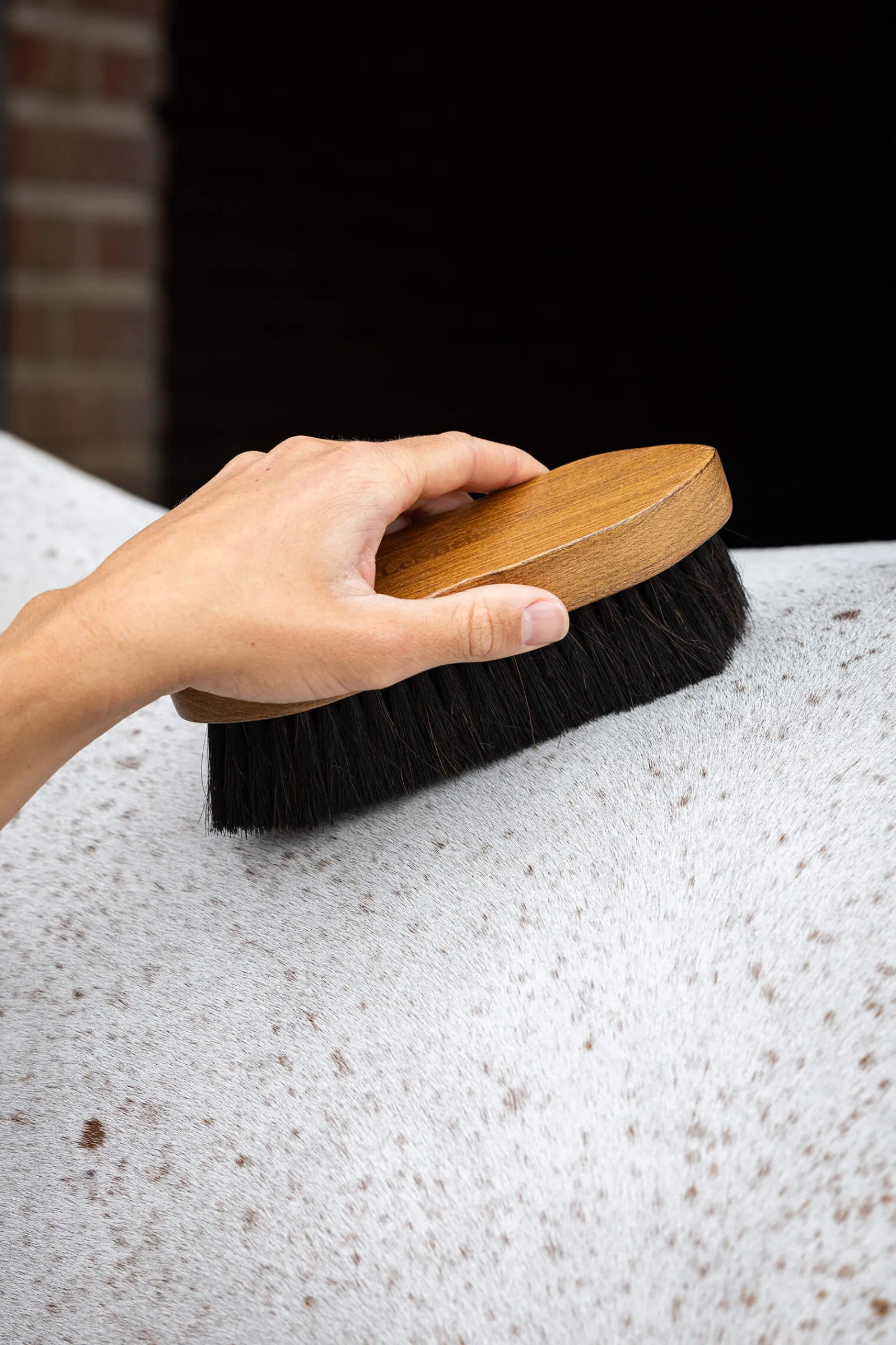 Clearance Artisan Combi Body Brush Brushes & Curry Combs