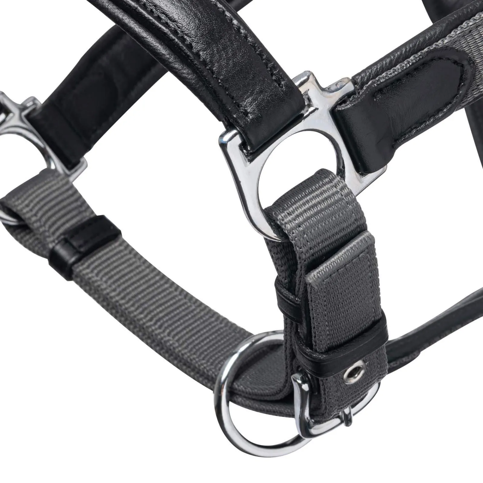 Fashion Capella Headcollar Headcollars & Halters
