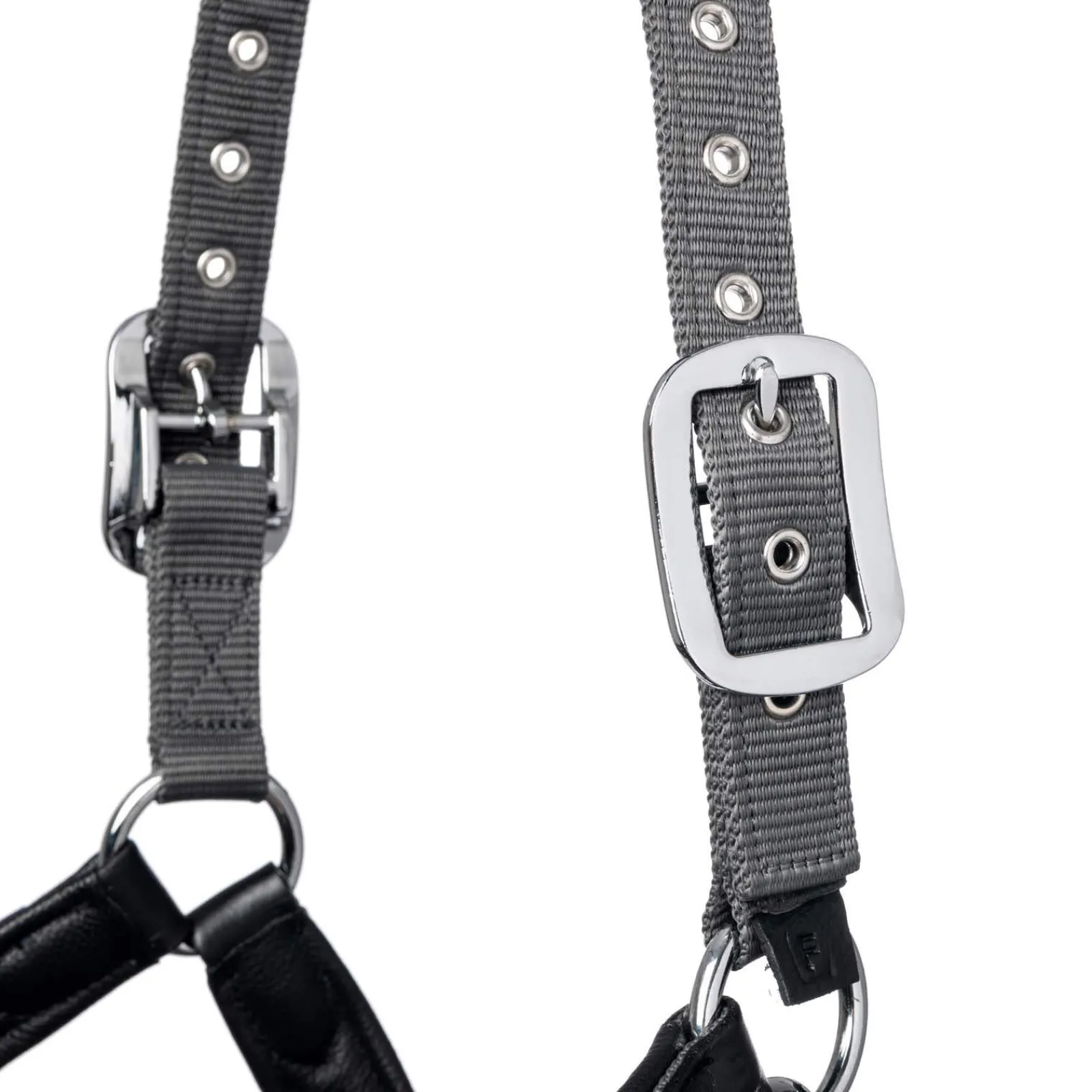 Fashion Capella Headcollar Headcollars & Halters