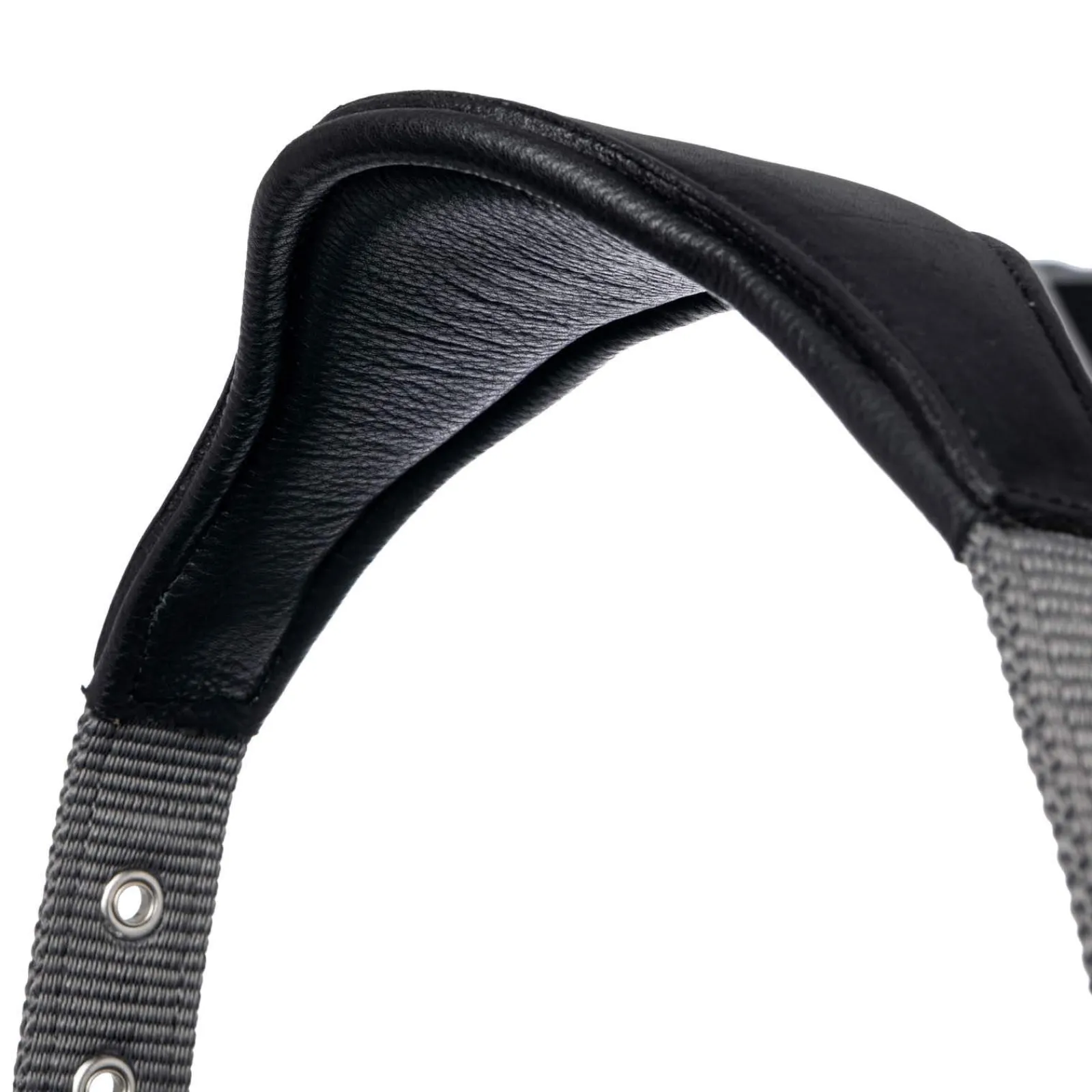 Fashion Capella Headcollar Headcollars & Halters