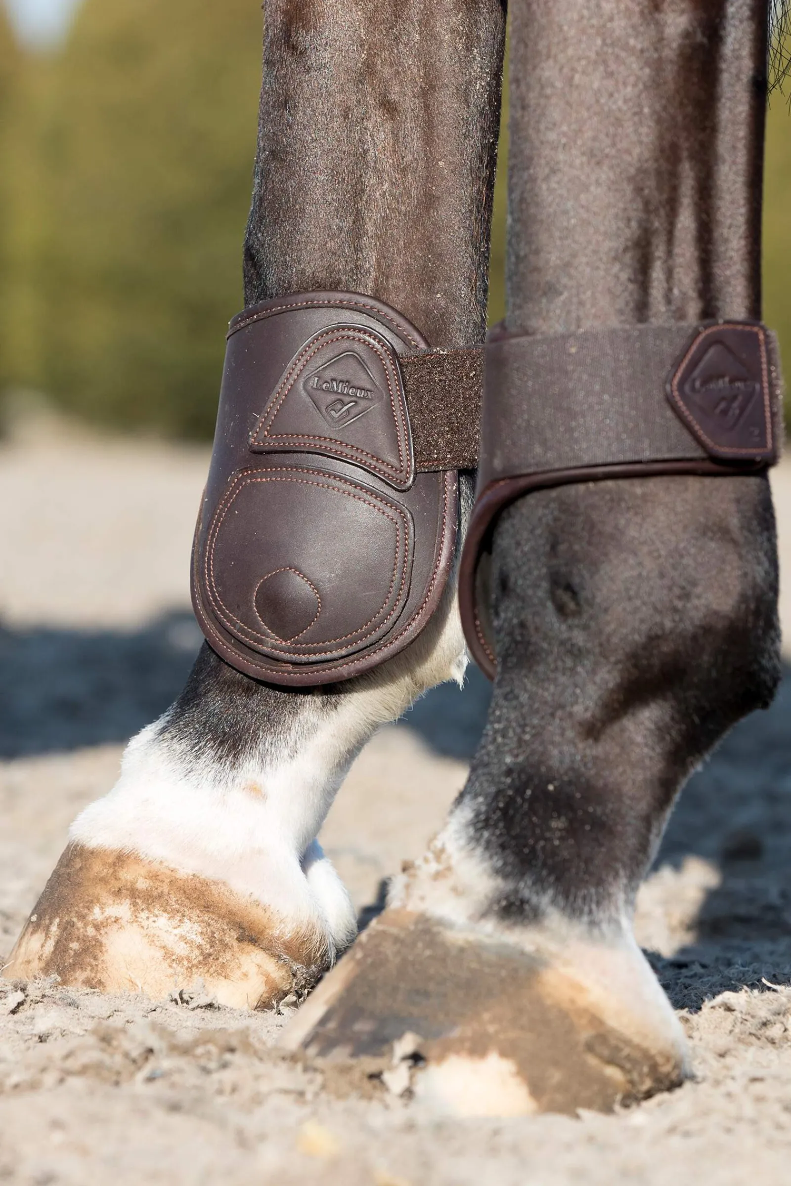 Clearance Capella Leather Fetlock Boots Fetlock Boots