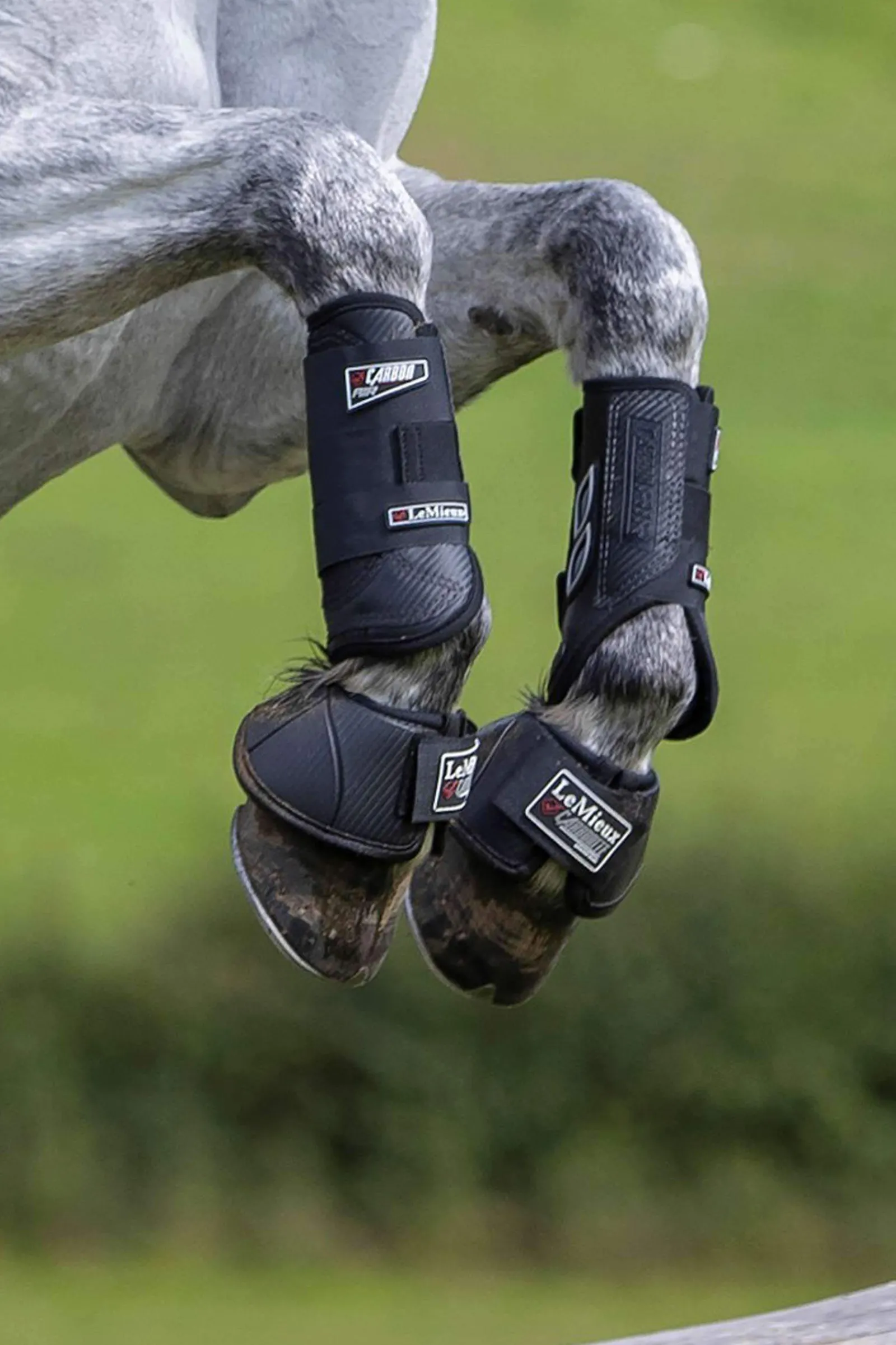 Fashion Carbon Air XC Boot Front Horse Boots