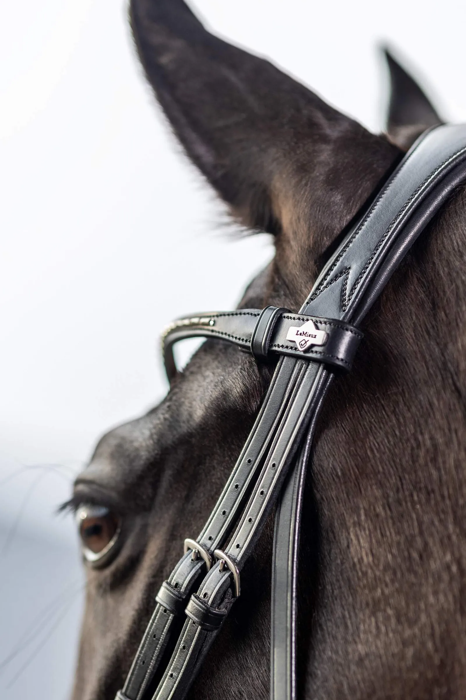 Fashion Classic Dressage Bridle Pony Bridles & Halters|Bridles & Nosebands