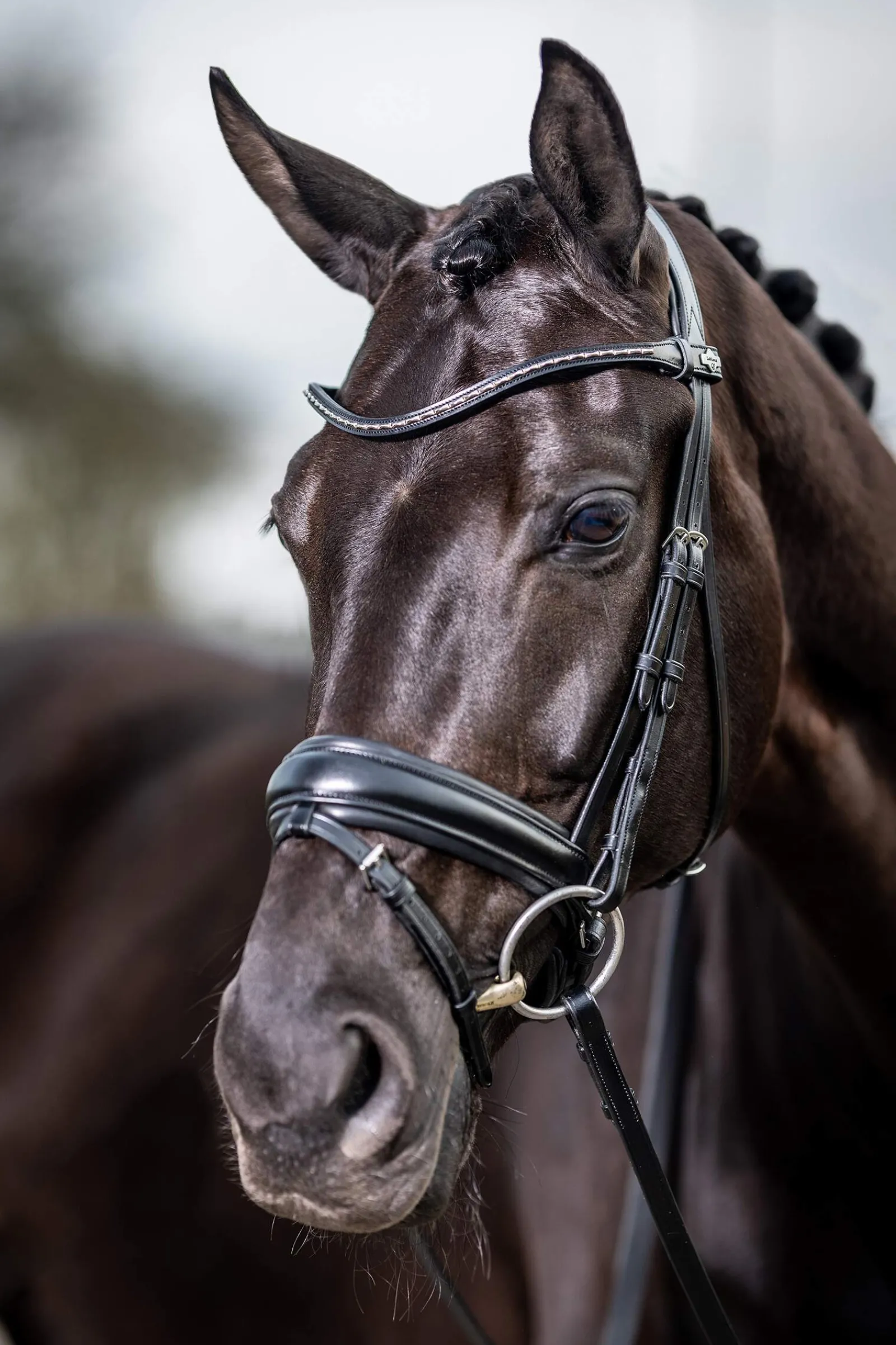Fashion Classic Dressage Bridle Pony Bridles & Halters|Bridles & Nosebands
