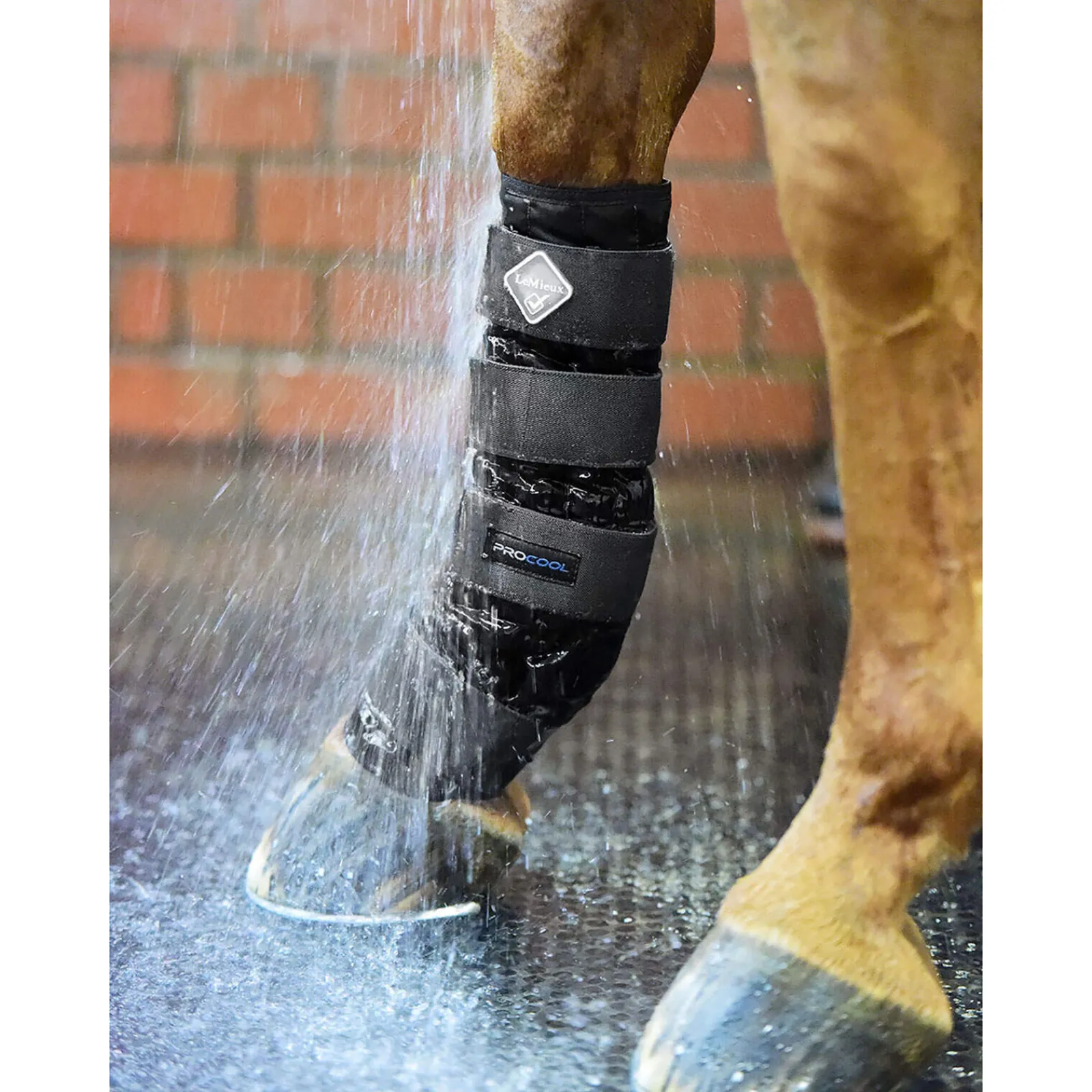 Discount Cold Water Boot Horse Boots