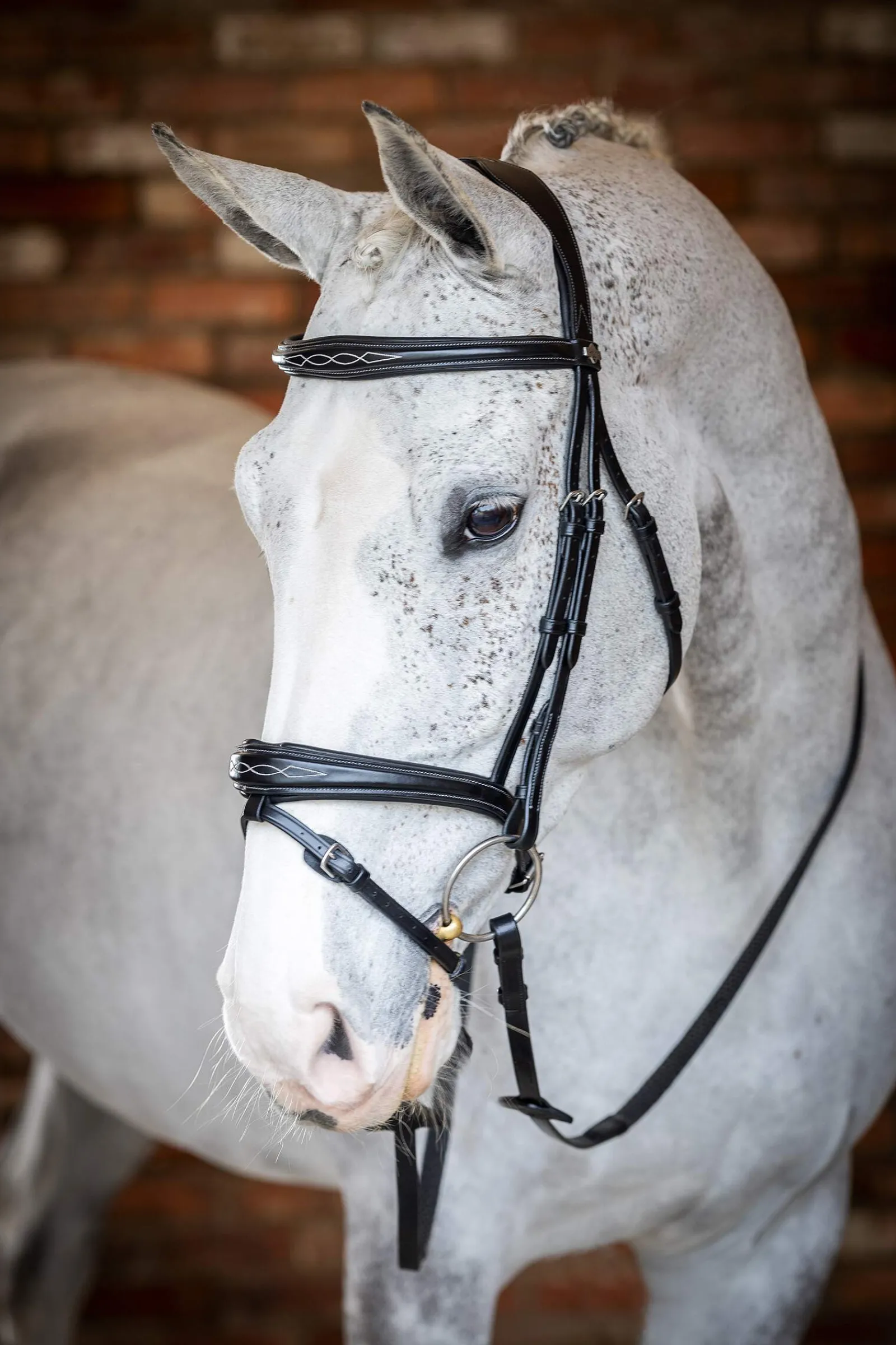 Best Competiton Flash Bridle Pony Bridles & Halters|Bridles & Nosebands