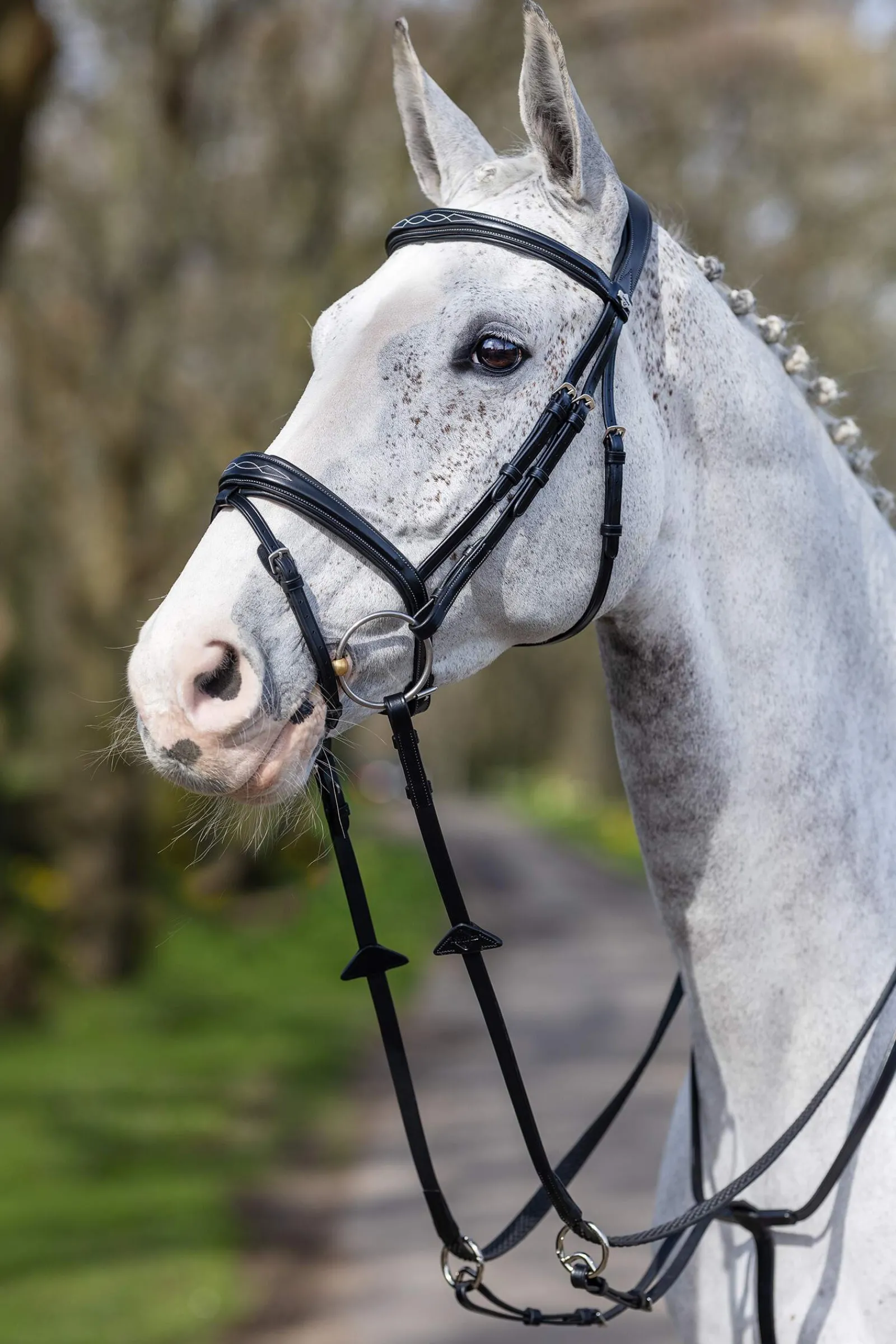 Best Competiton Flash Bridle Pony Bridles & Halters|Bridles & Nosebands
