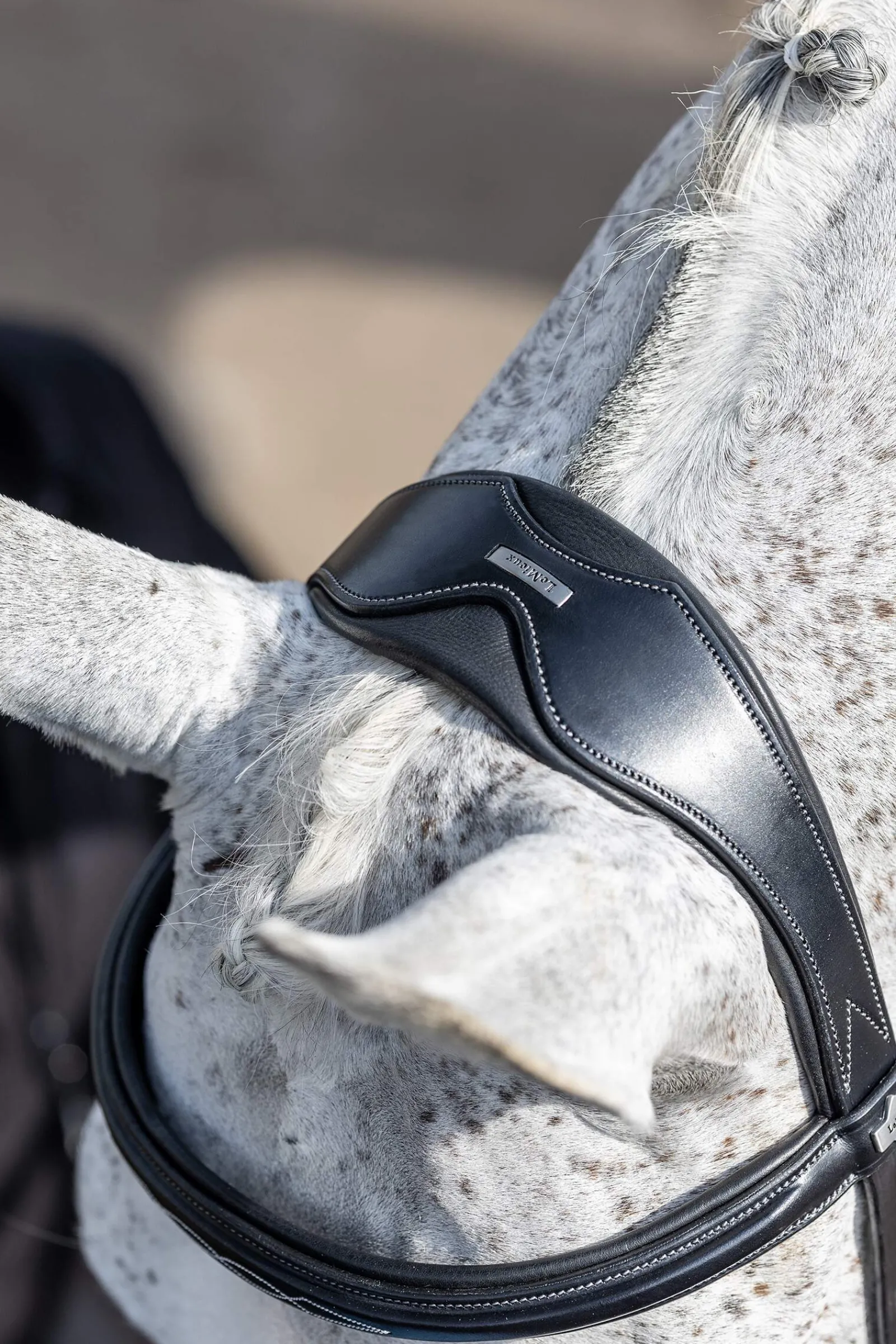 Best Competiton Flash Bridle Pony Bridles & Halters|Bridles & Nosebands