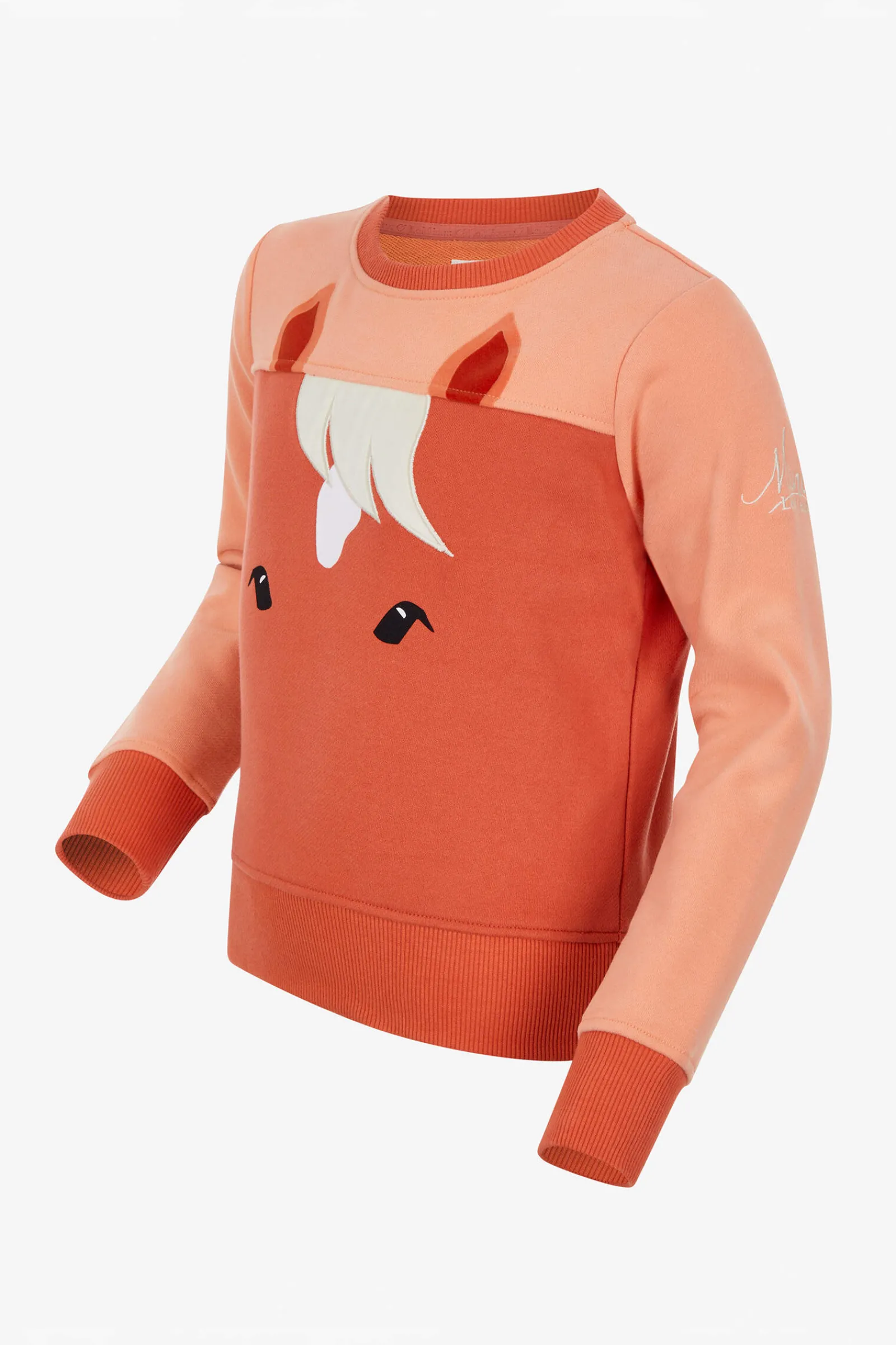 Clearance Kids Pony Sweatshirt Kids Jumpers & Fleece Jackets