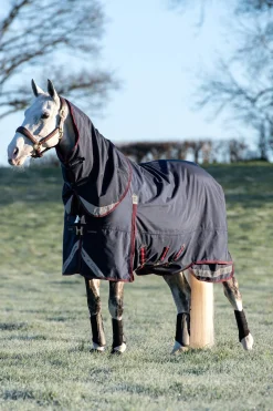Clearance Kudos Lightweight Turnout Rug, 100g Lightweight Turnout Rugs