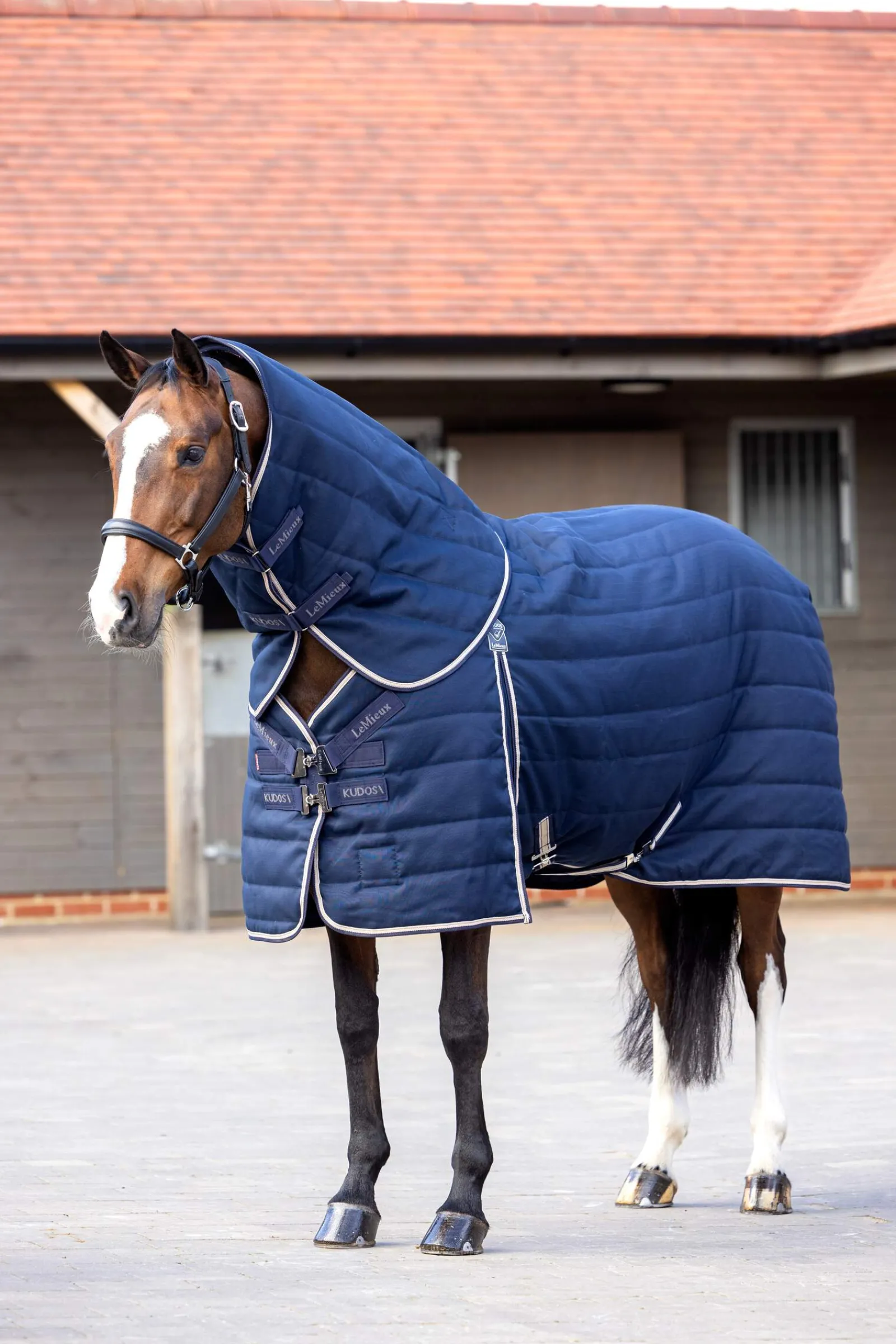 Fashion Kudos Stable Rug, 100g Stable Rugs & Liners