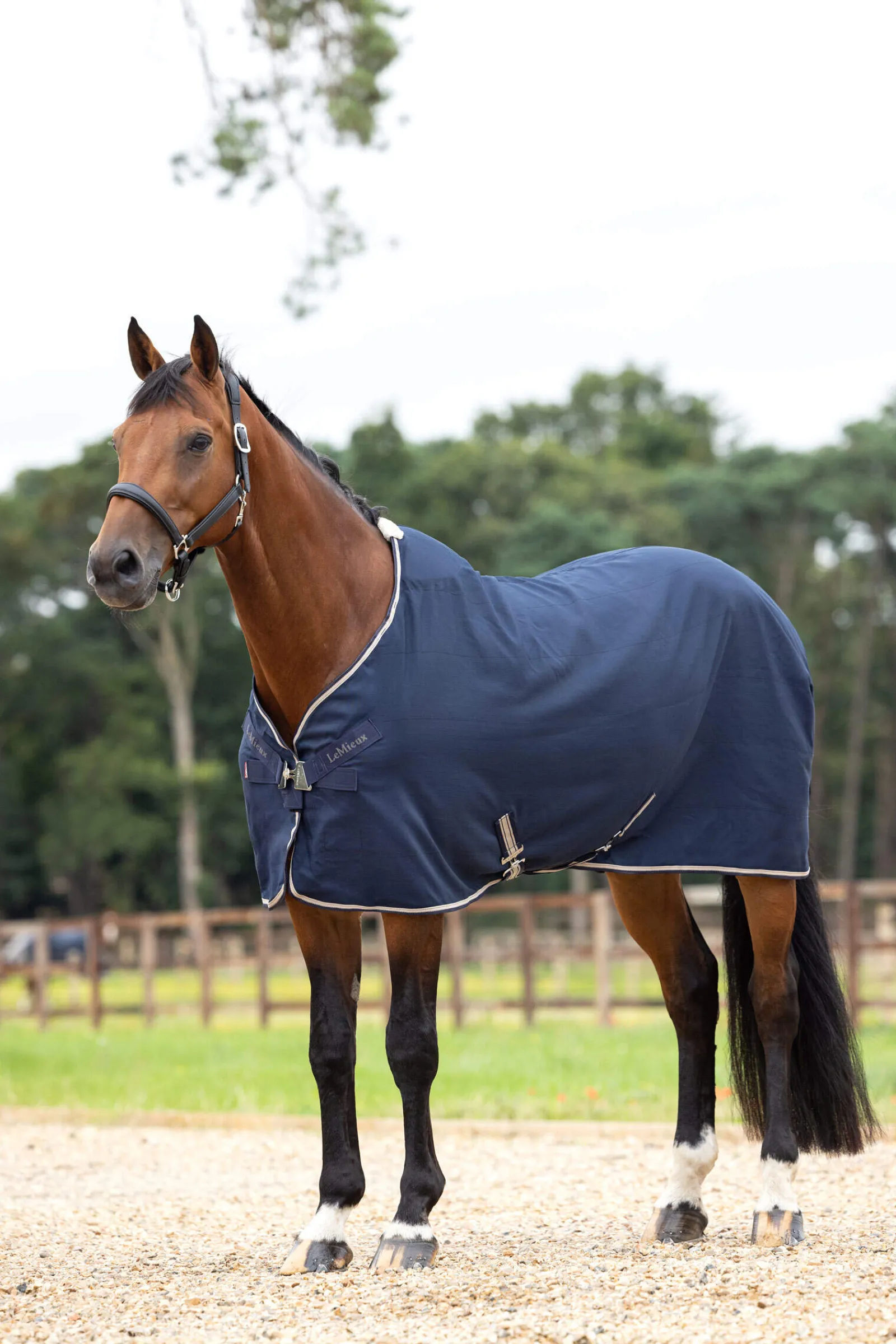 Best Kudos Stable Sheet, 0g Stable Rugs & Liners