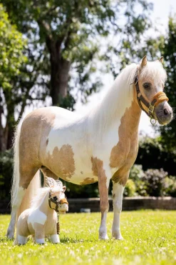 Fashion Toy Pony Gifts & Horse Toys