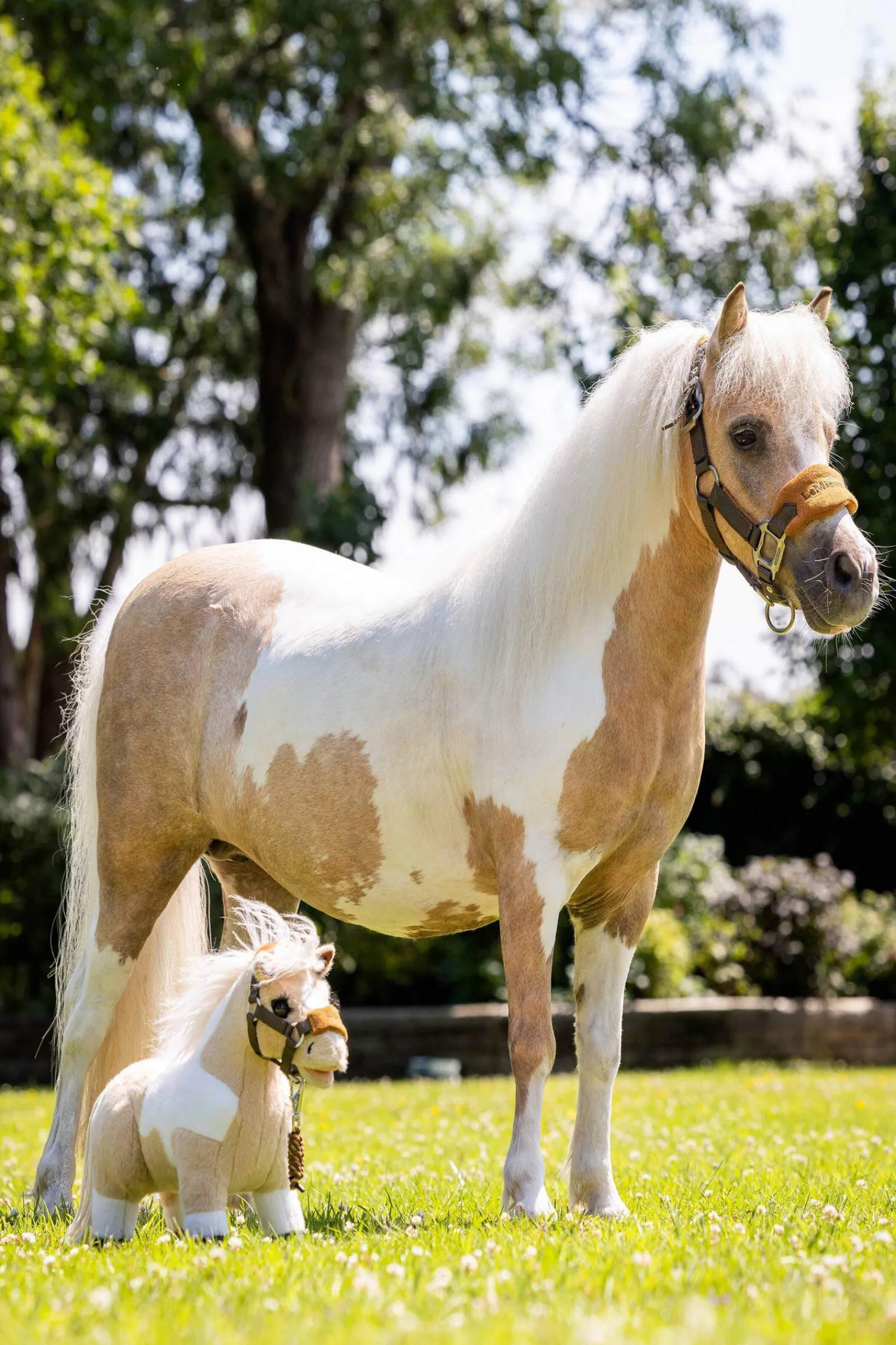 Fashion Toy Pony Gifts & Horse Toys