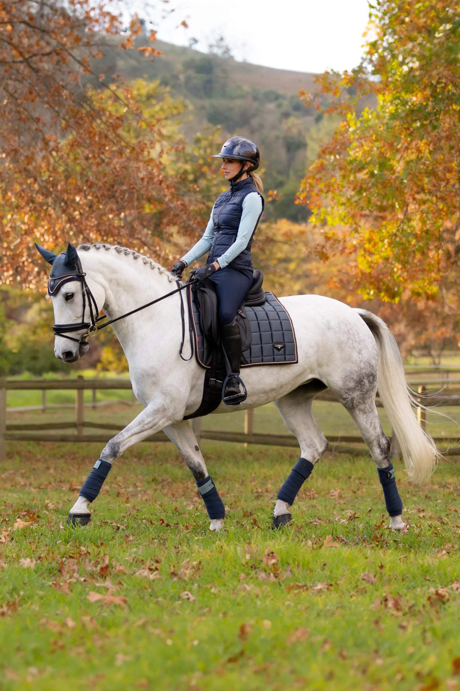 New Loire Classic Dressage Square Pony Saddle Pads|Dressage Saddle Pads