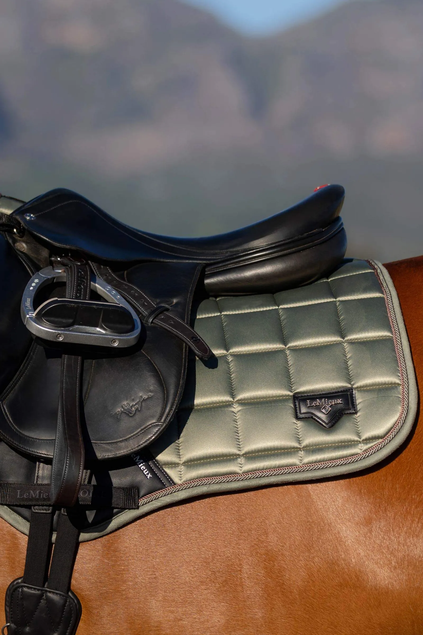 Best Loire Square CC Jumping Saddle Pad Pony Saddle Pads|All Purpose & Jumping Saddle Pads
