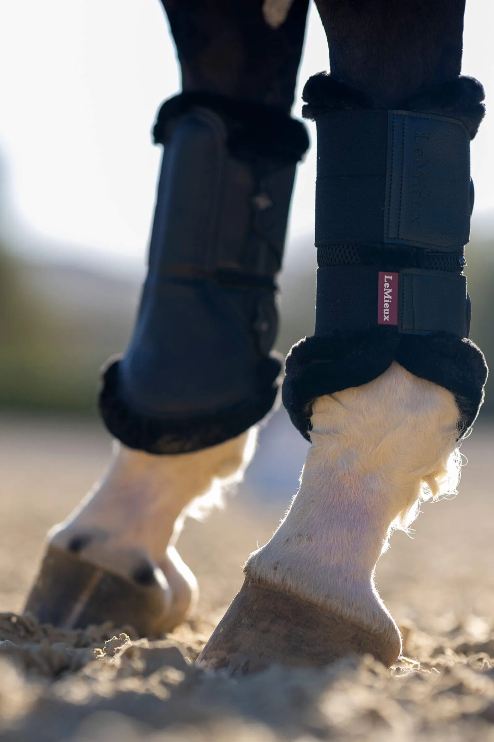 Sale Mesh Brushing Boots With Fleece Edging Horse Boots