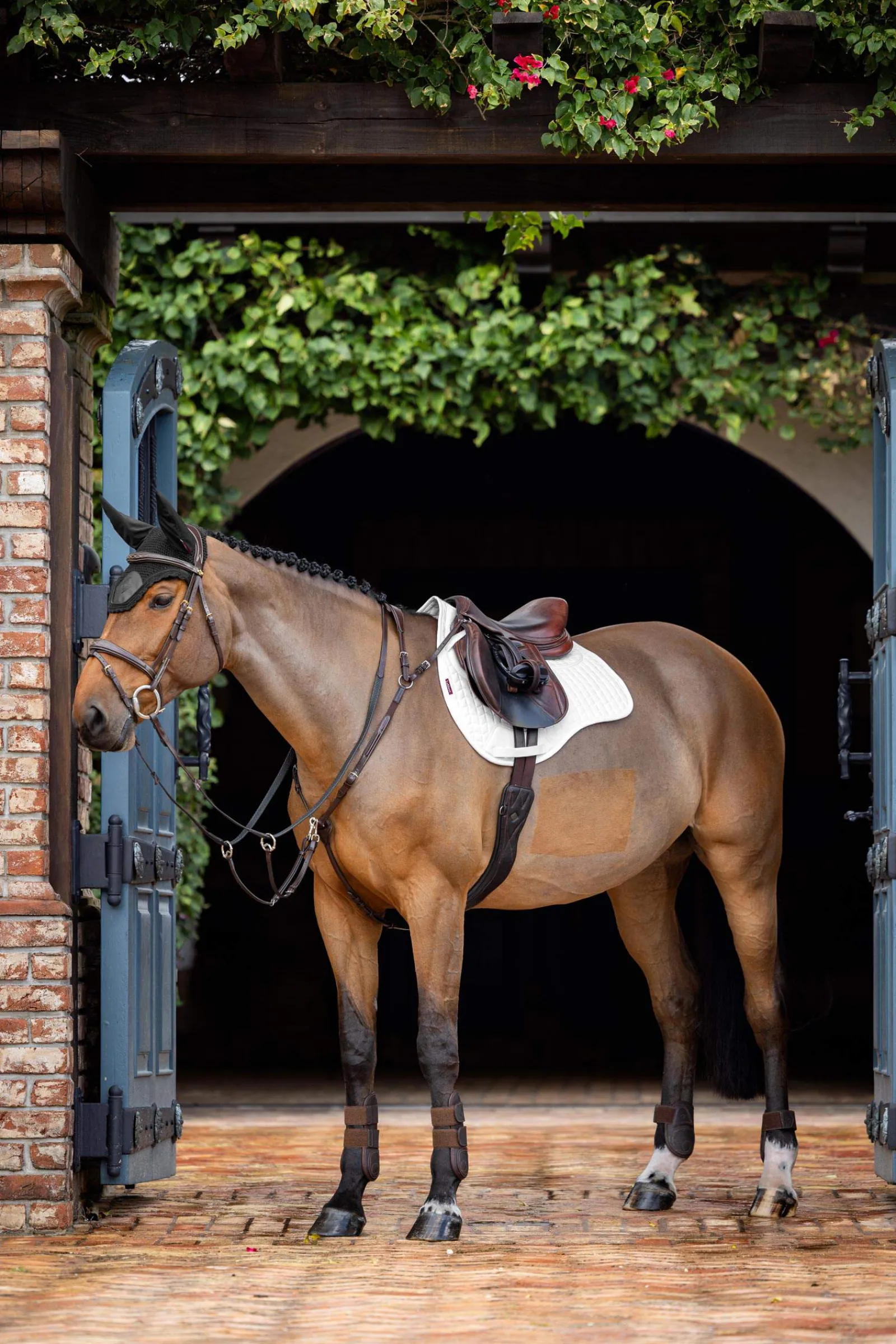 New Prosorb Plain 2 Pocket Close Contact Pad Pony Saddle Pads|All Purpose & Jumping Saddle Pads