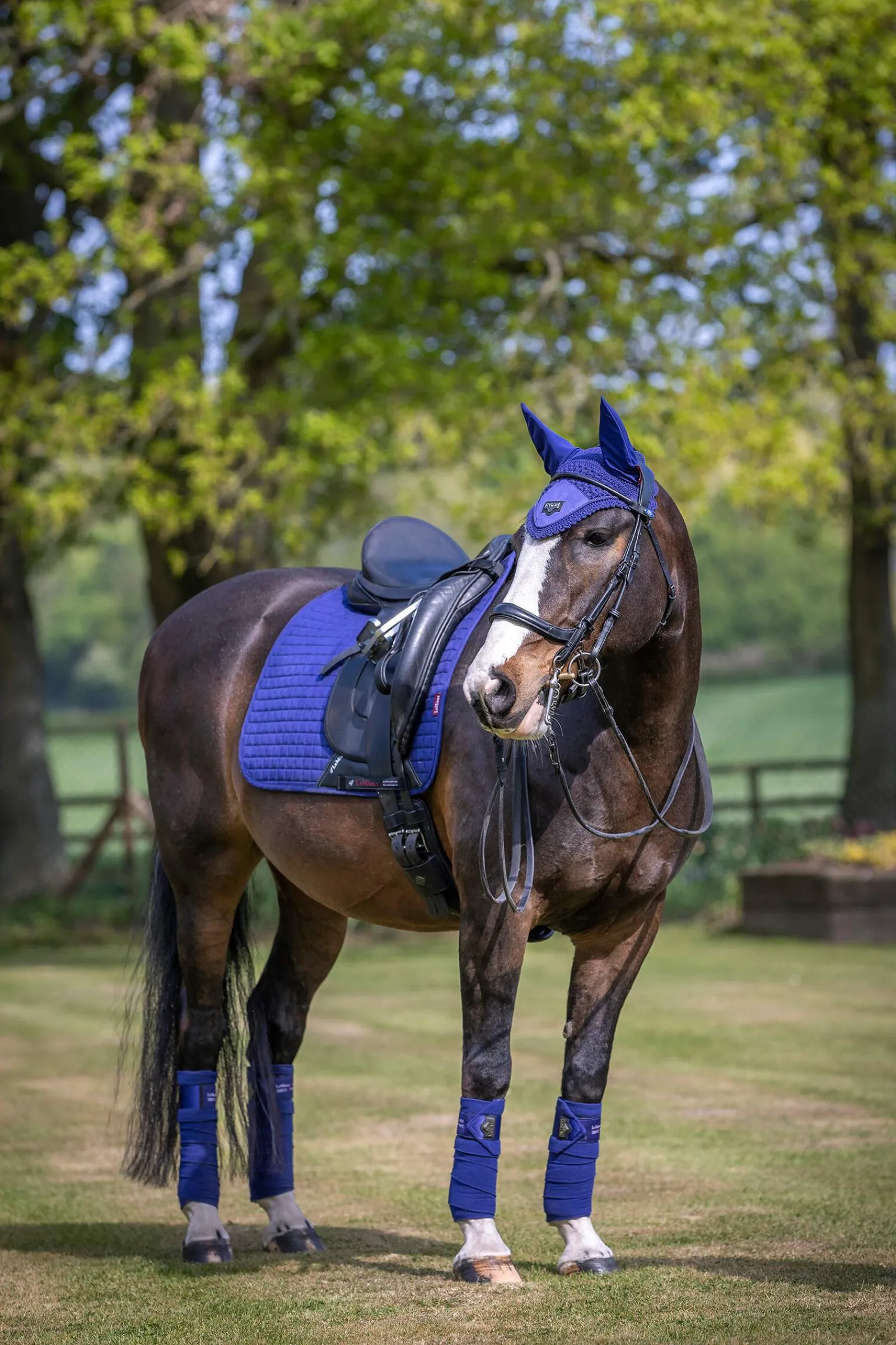 Online Suede Seasonal Luxury Dressage Pad Dressage Saddle Pads
