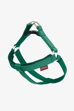 Hot Toy Dog Harness Gifts & Horse Toys
