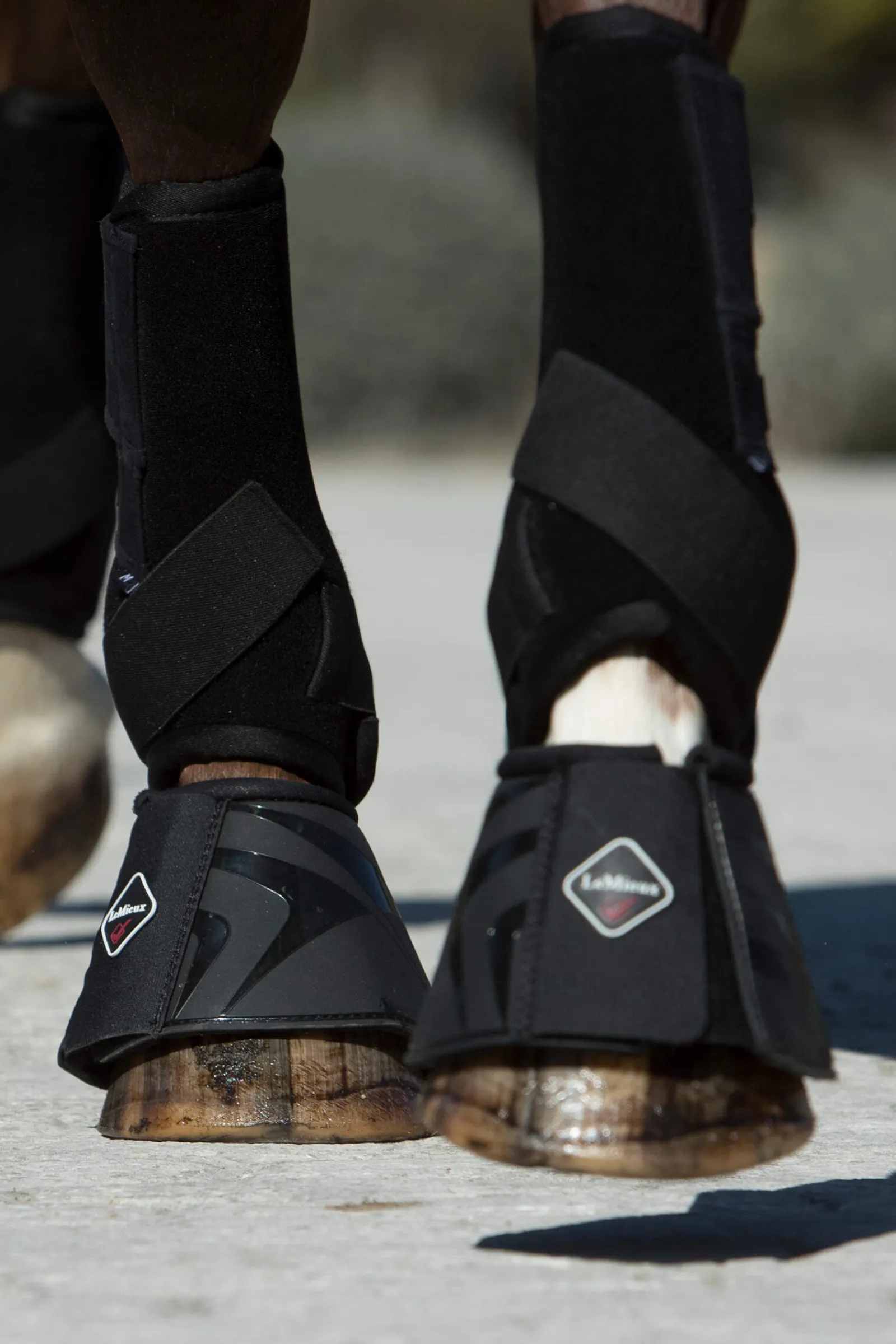 Discount Ultra Support Boots Horse Boots