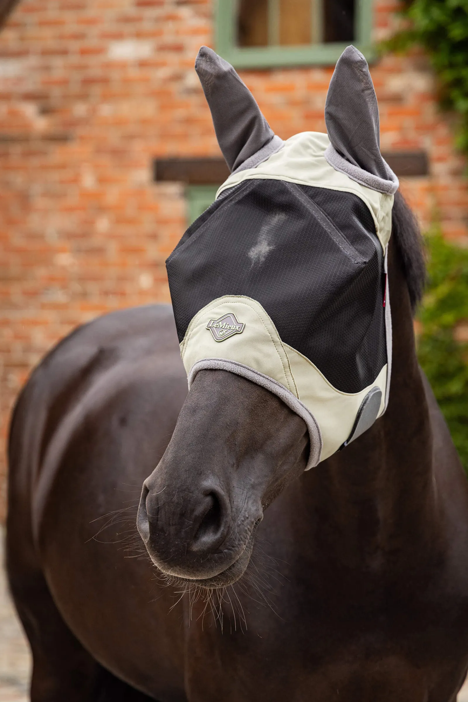 Fashion Visor-Tek Half Fly Mask Fly Masks & Fringes|Fly Masks & Fringes