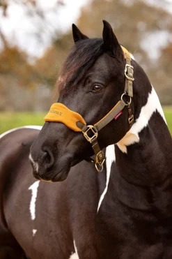 Clearance Vogue Headcollar & Lead Rope Set Headcollars & Halters