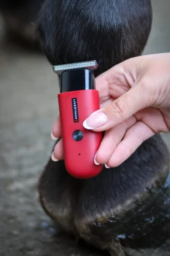 Outlet Robin Equine Trimmer Clipping & Trimming