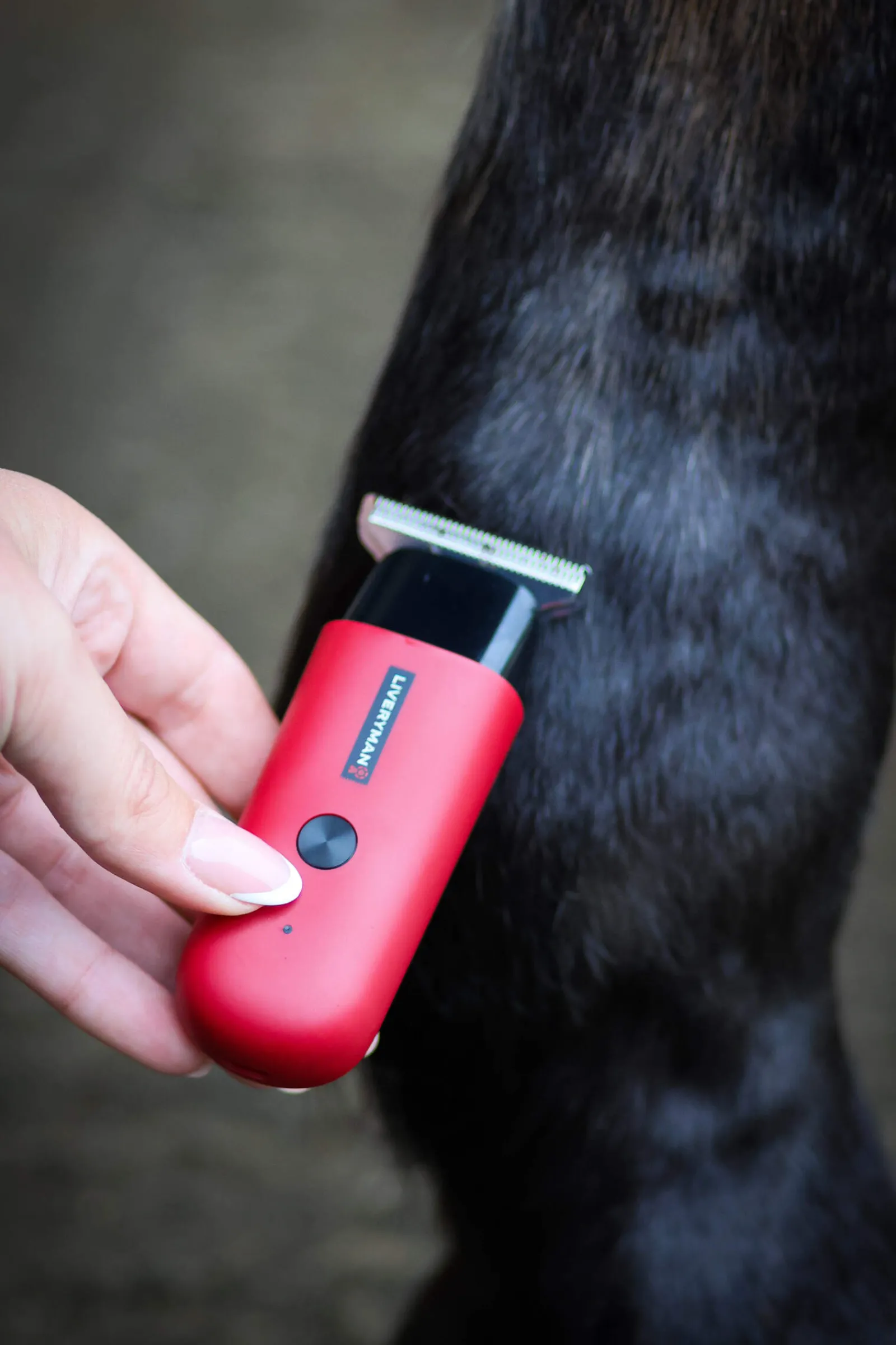 Outlet Robin Equine Trimmer Clipping & Trimming