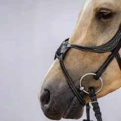 Hot PS of Sweden Athens Mexican Bridle Bridles & Nosebands
