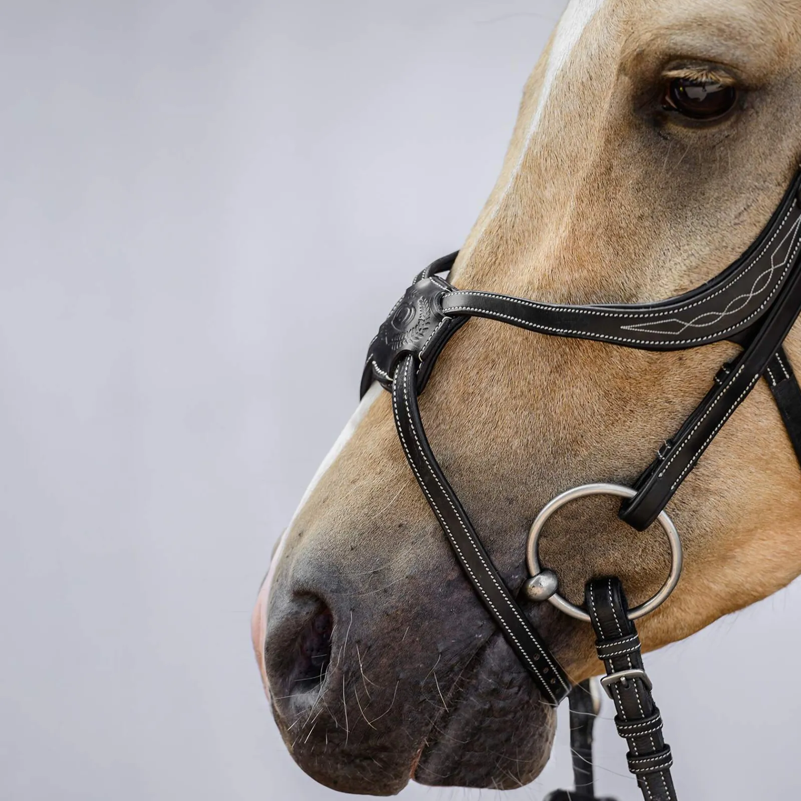 Hot PS of Sweden Athens Mexican Bridle Bridles & Nosebands