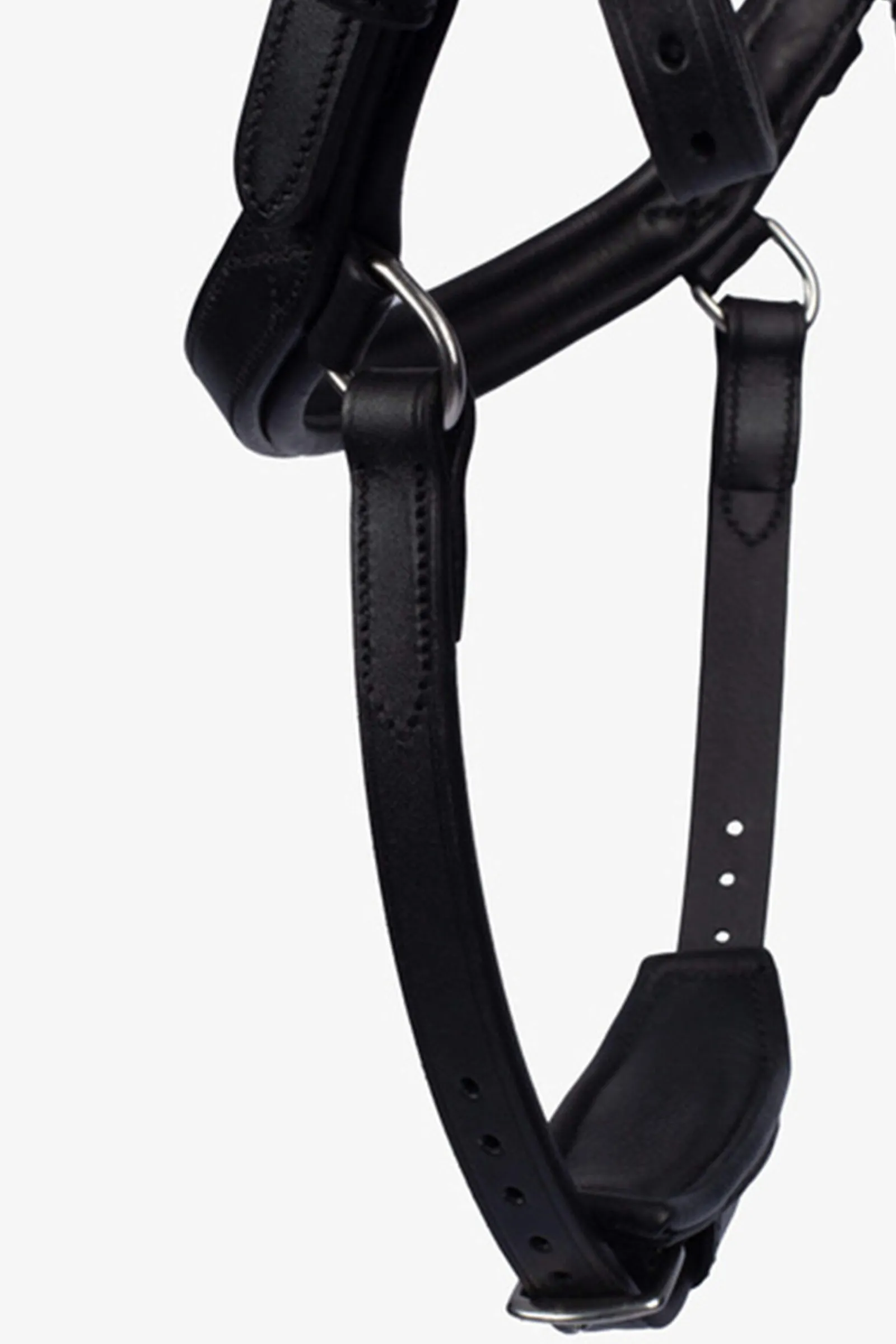 Hot PS of Sweden Bridle King Edward Bridles & Nosebands