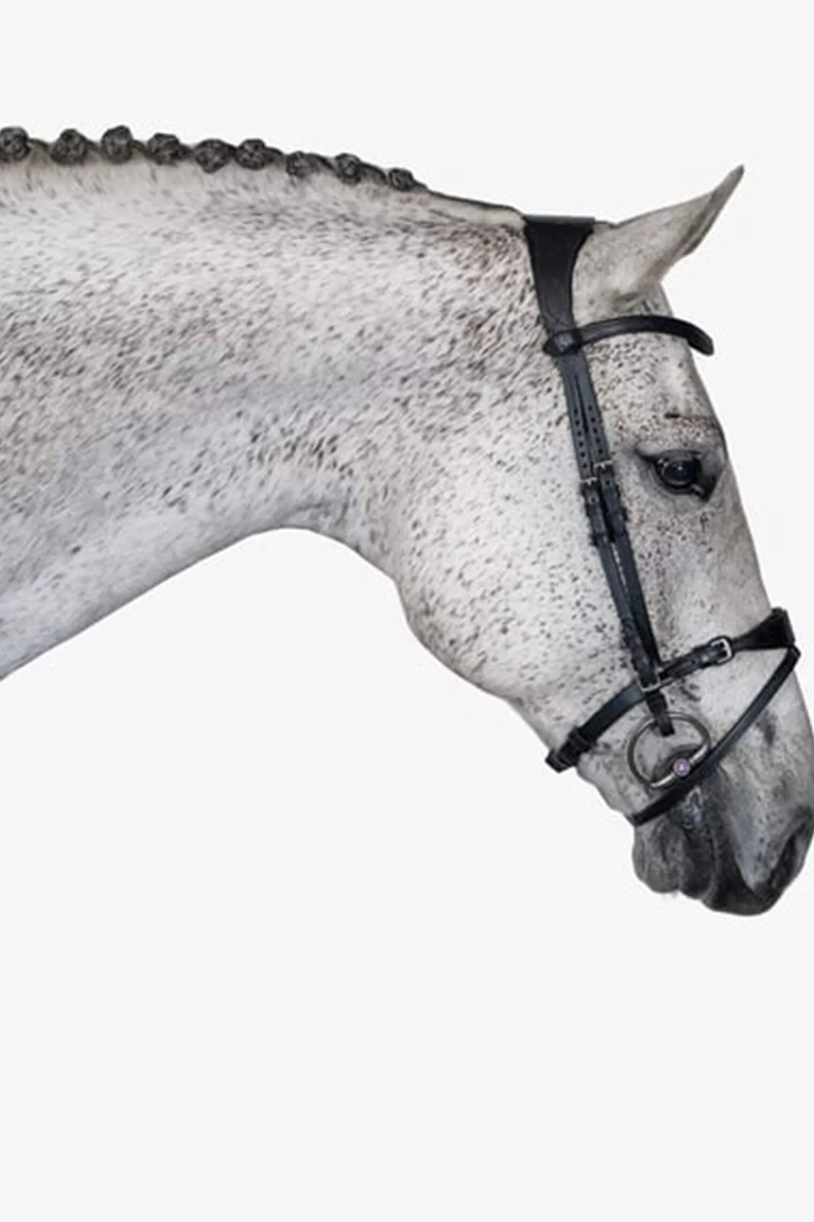 Outlet PS of Sweden Bridle, Mary Lou by Henrik von Eckermann Bridles & Nosebands