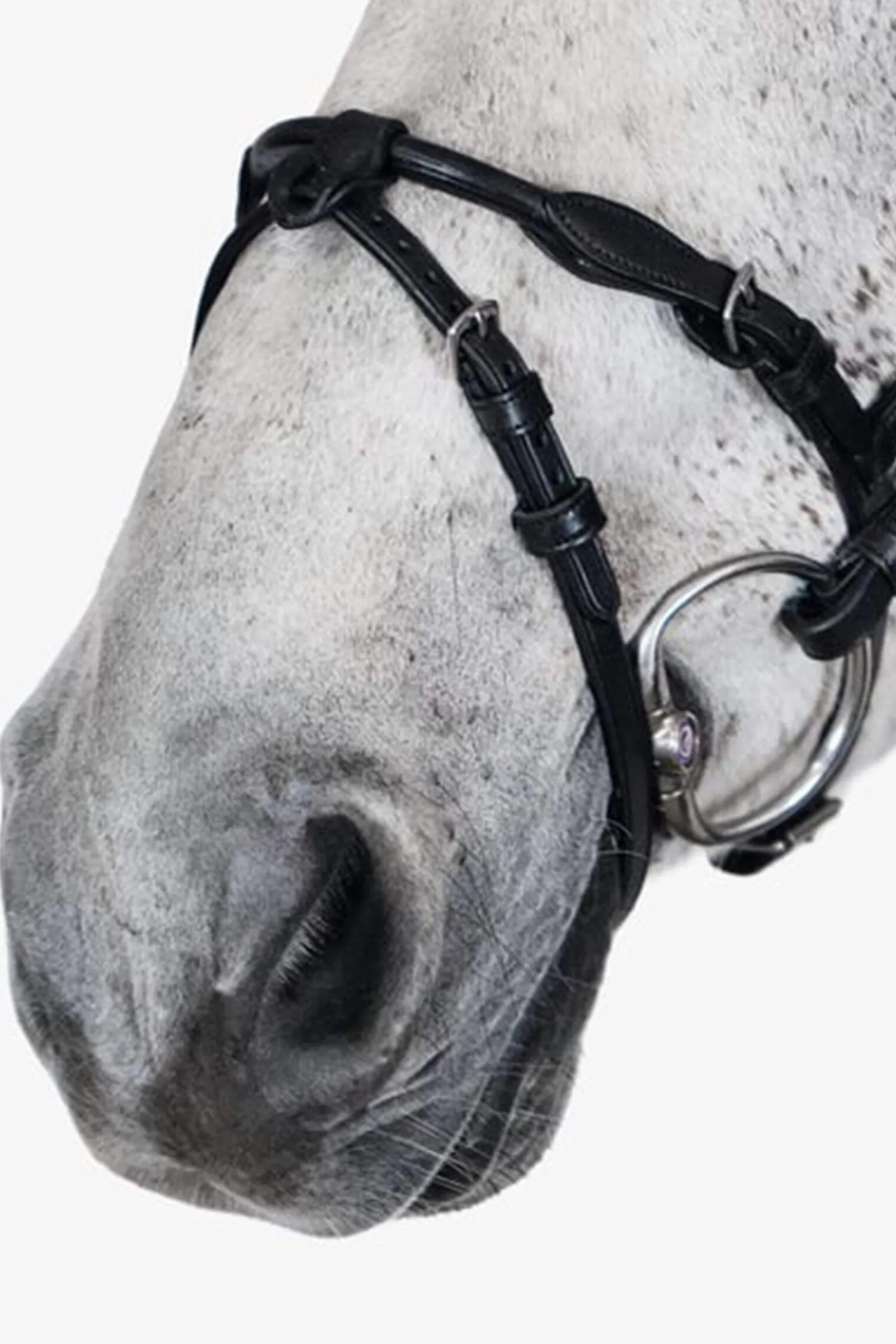 Outlet PS of Sweden Bridle, Mary Lou by Henrik von Eckermann Bridles & Nosebands